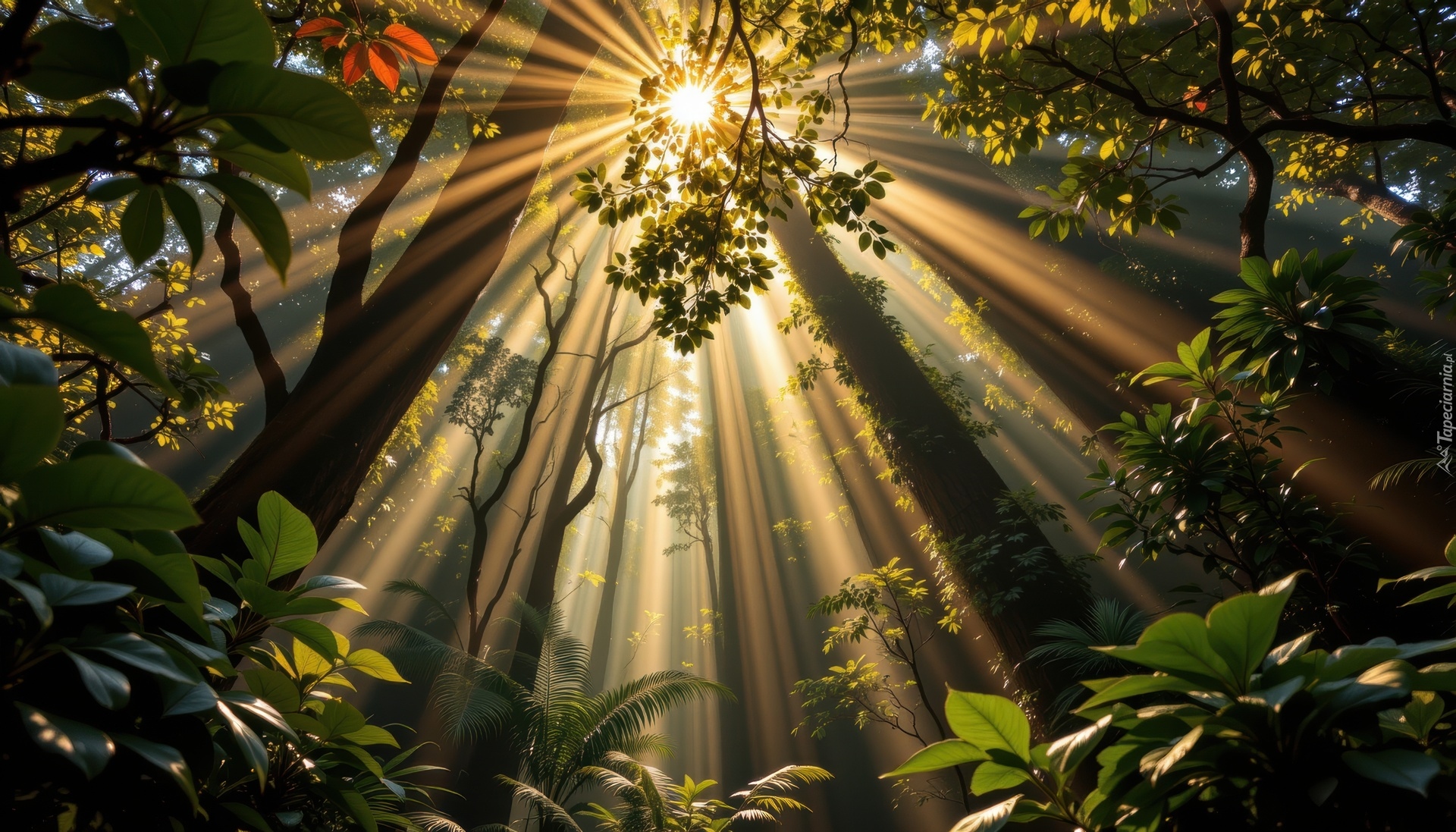 Las, Drzewa, Przebijające światło, Liście, Grafika AI