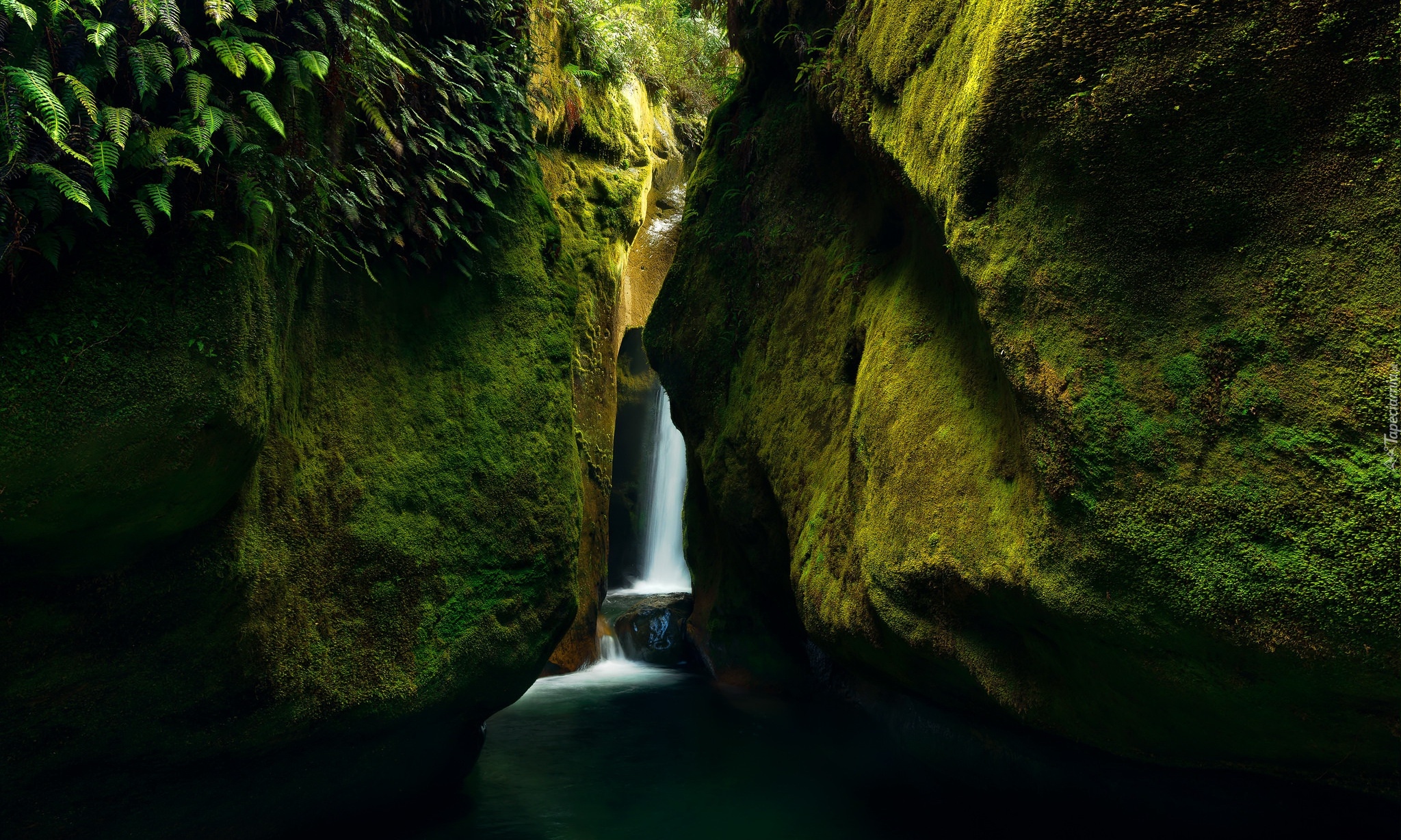 Skały, Wodospad, Upper Chasm Falls, Mech, Roślinność, Tasmania, Australia