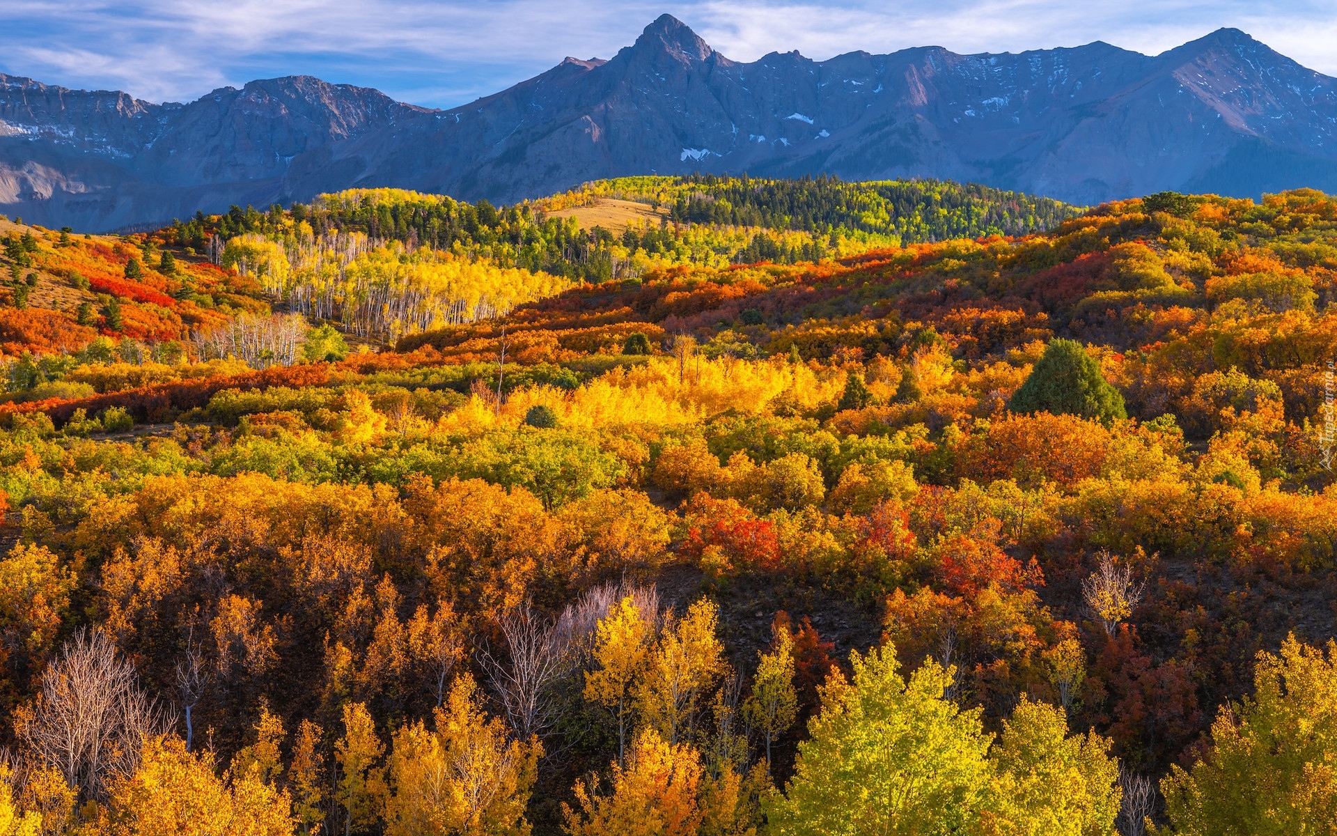 Jesień, Góry, San Juan Mountains, Przełęcz, Dallas Divide, Lasy, Drzewa, Kolorado, Stany Zjednoczone