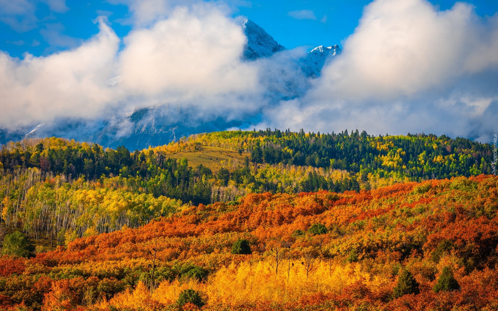 Góry, San Juan Mountains, Przełęcz, Dallas Divide, Jesień, Las, Drzewa, Chmury, Kolorado, Stany Zjednoczone