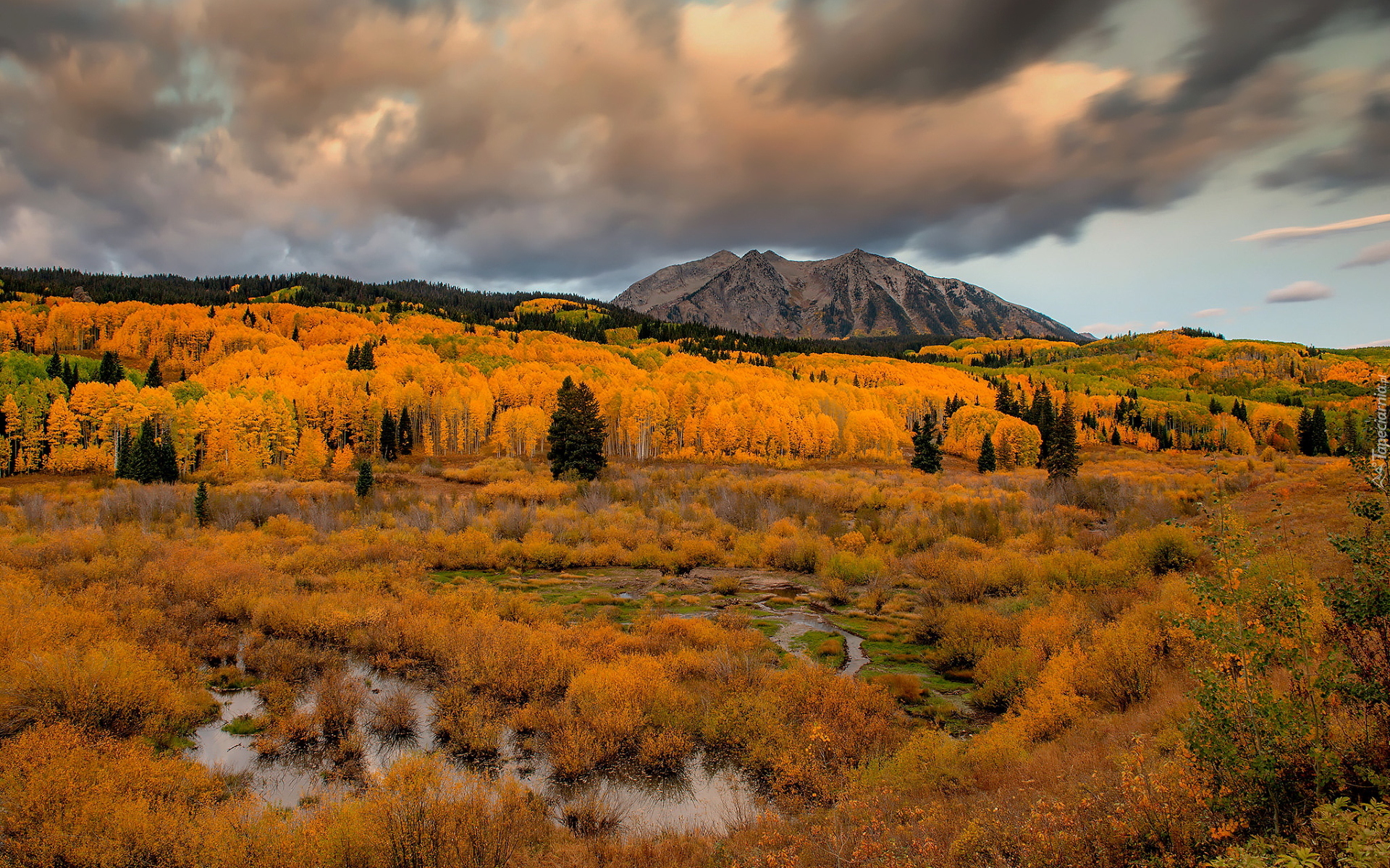 Góry West Elk, Góra East Beckwith Mountain, Przełęcz Kebler Pass, Jesień, Lasy, Drzewa, Kolorado, Stany Zjednoczone