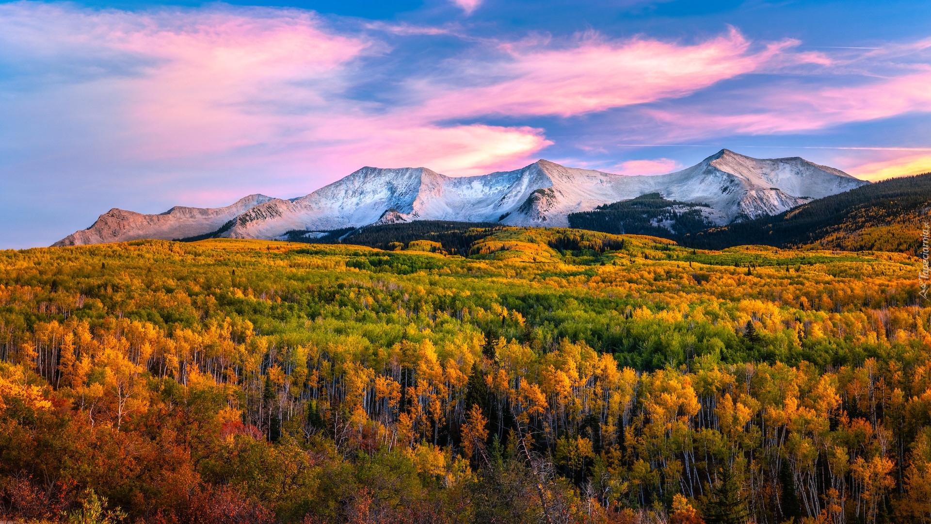 Stany Zjednoczone, Kolorado, Przełęcz, Kebler Pass, Jesień, Góry, Drzewa, Lasy