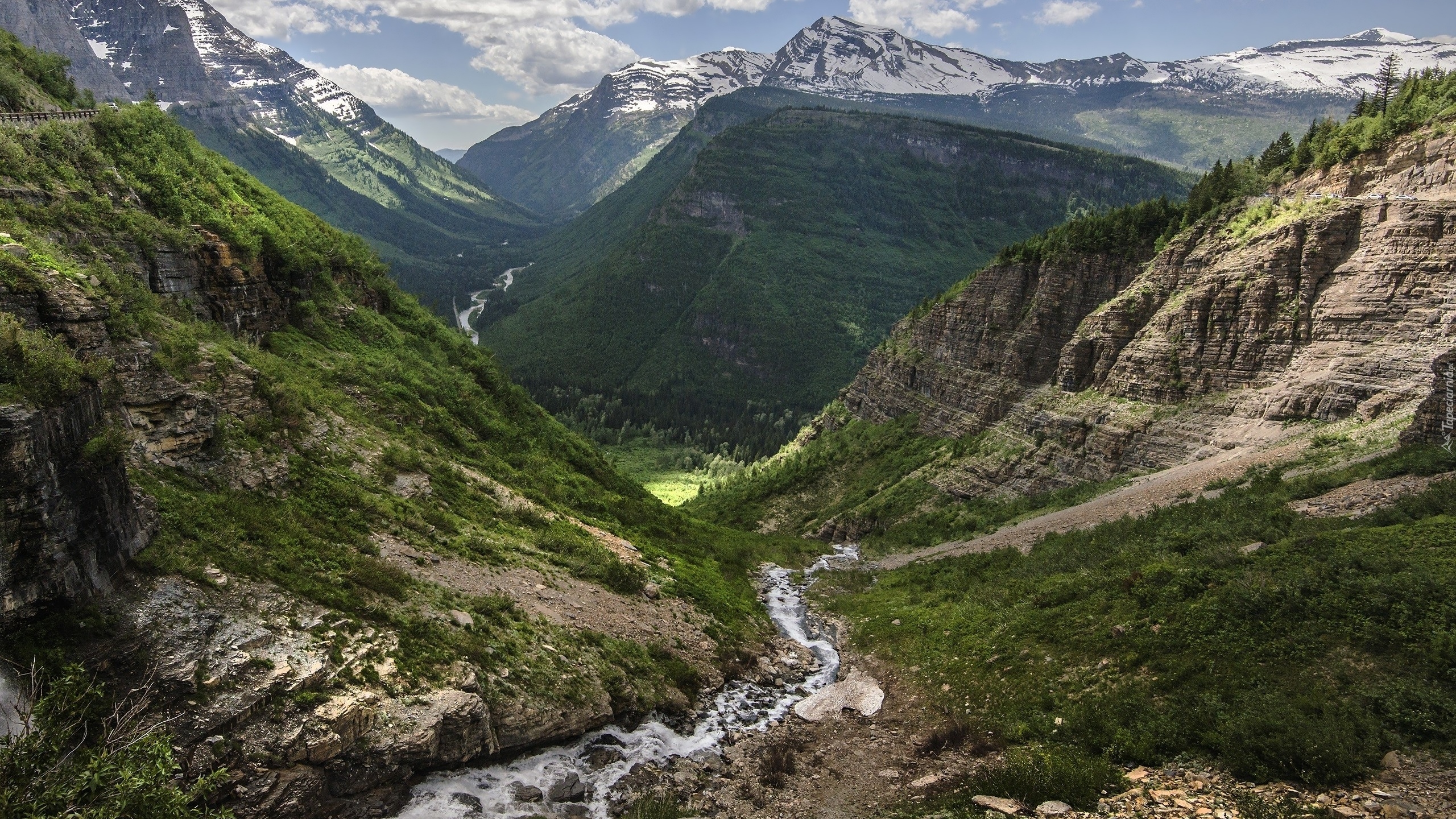 Porośnięte, Wzgórza, Góry Skaliste, Przełęcz Logan Pass, Skały, Strumyk, Kamienie, Park Narodowy Glacier, Stan Montana, Stany Zjednoczone