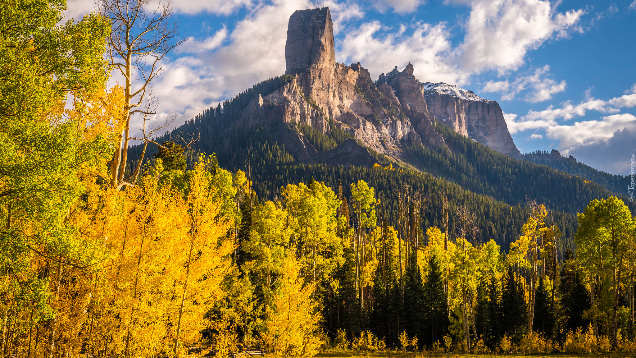 Jesień, Góry, Drzewa, Przełęcz, Owl Creek Pass, Kolorado, Stany Zjednoczone