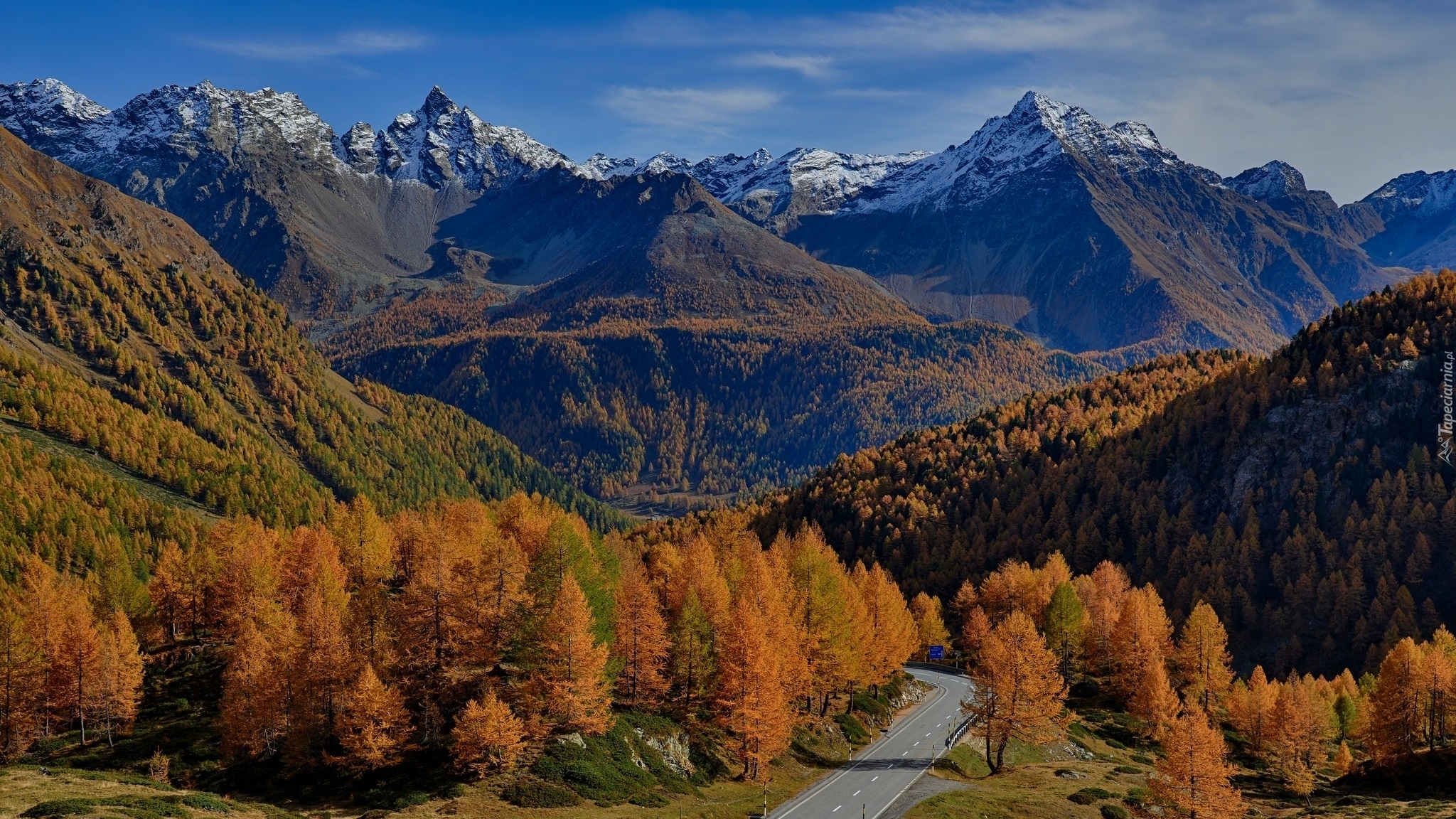 Jesień, Góry, Droga, Drzewa, Przełęcz, Passo del Bernina, Kanton Gryzonia, Szwajcaria