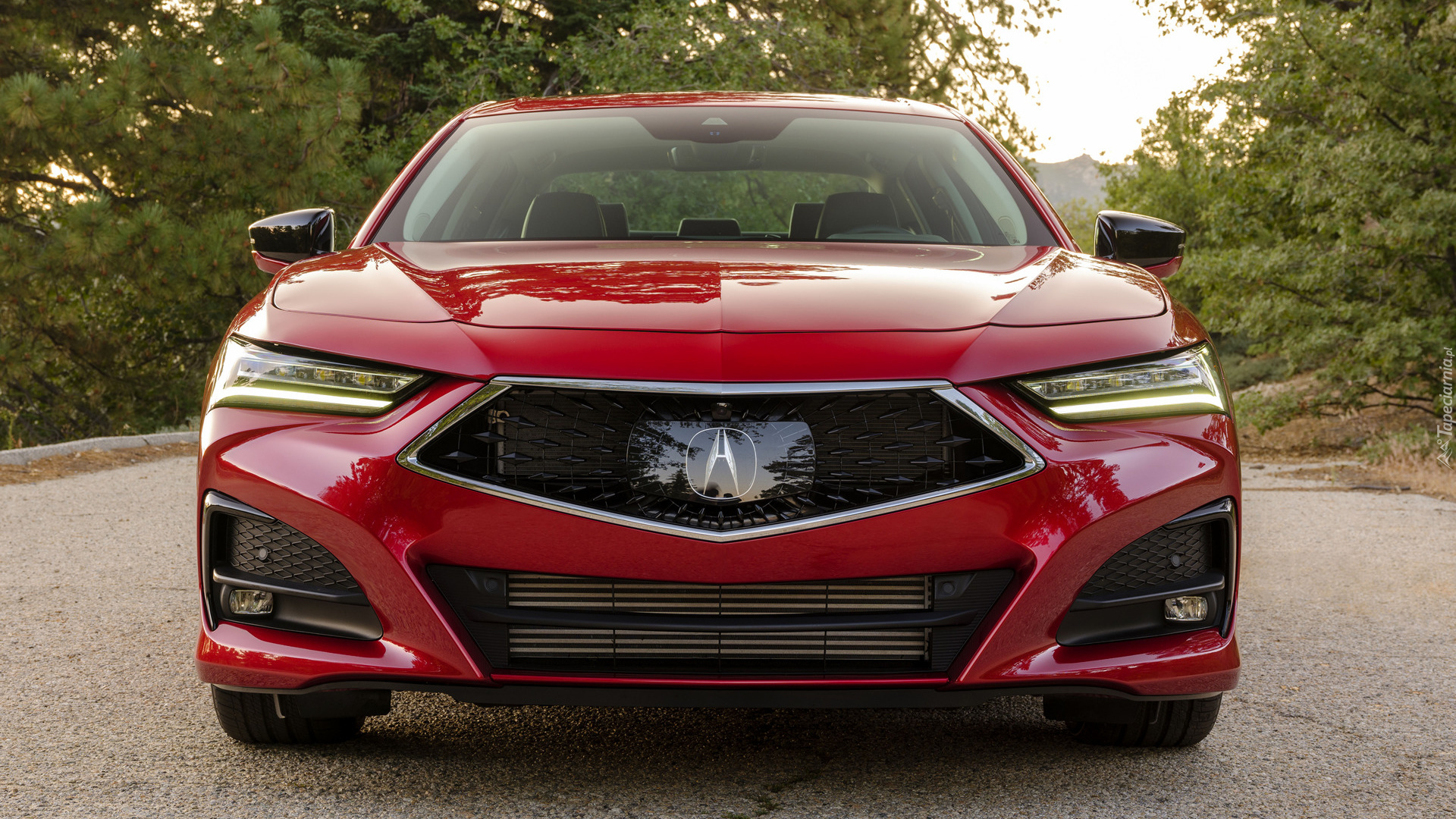 Acura TLX, Przód
