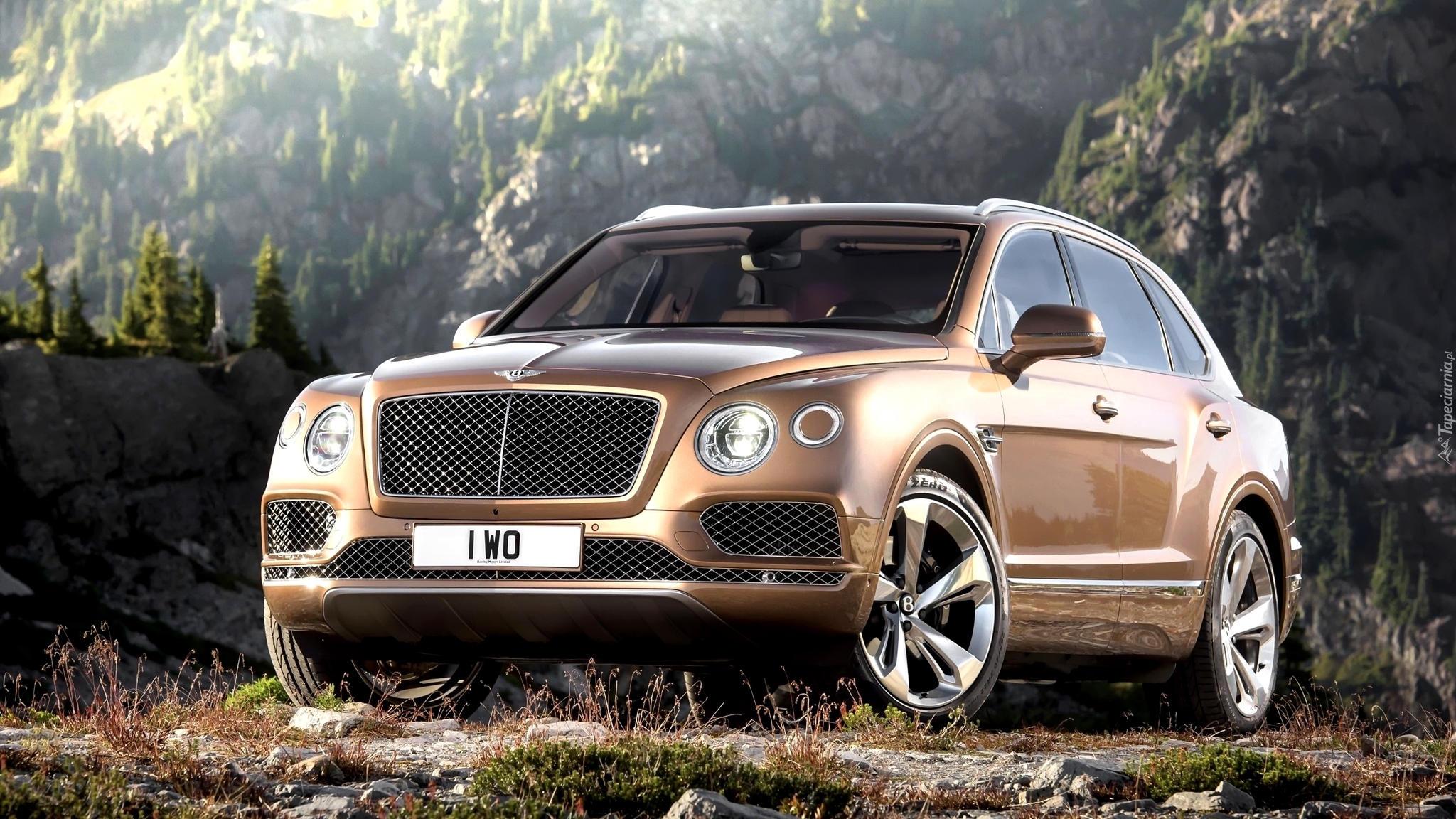 Bentley Bentayga, Przodem