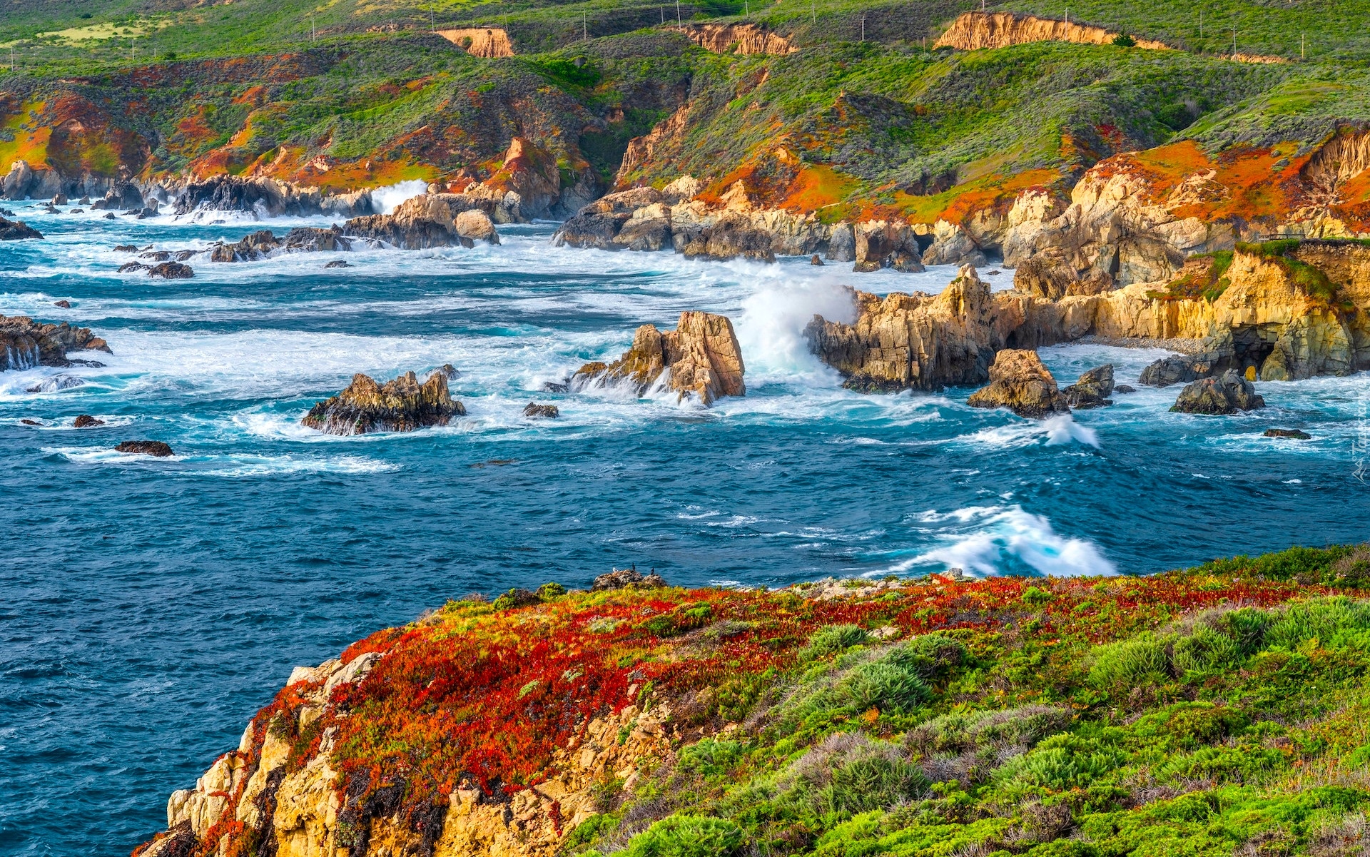 Stany Zjednoczone, Stan Kalifornia, Park stanowy Garrapata, Morze, Skały, Wybrzeże, Big Sur, Fale, Rośliny