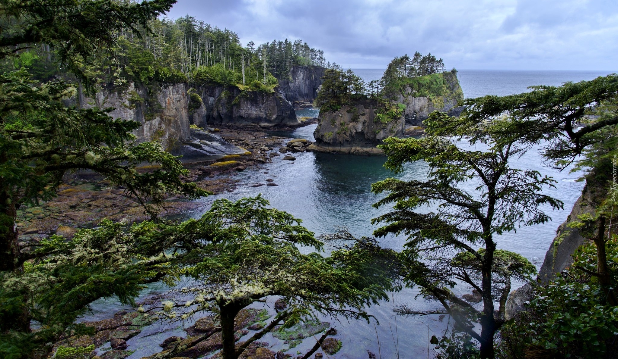 Stany Zjednoczone, Stan Waszyngton, Półwysep Olimpijski, Przylądek Cape Flattery, Skały, Morze, Brzeg, Drzewa