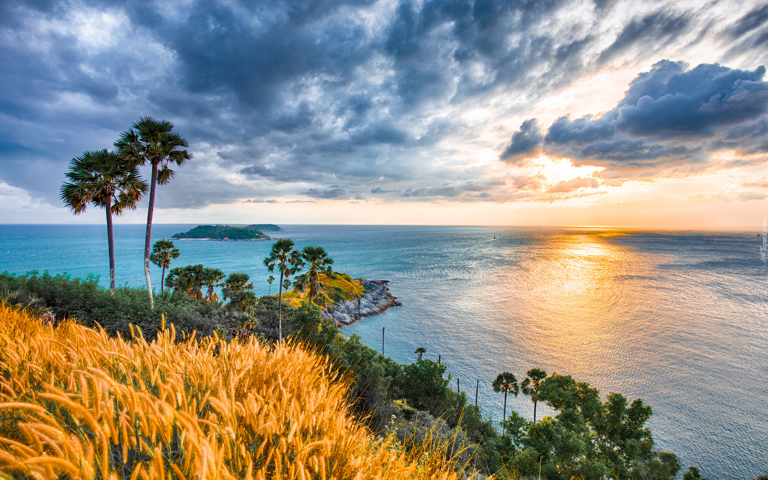 Tajlandia, Przylądek Phromthep, Morze Andamańskie, Chmury, Wschód słońca, Palmy