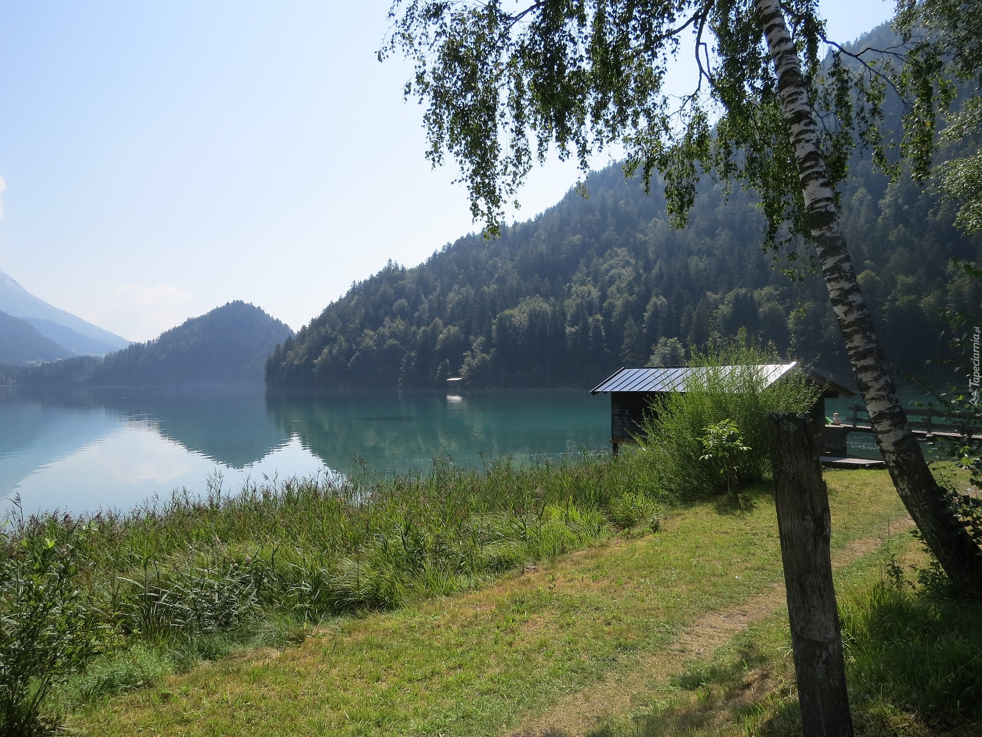 Góry, Jezioro Hintersteinersee, Przystań, Drzewa, Brzoza, Trawa, Las, Tyrol, Austria