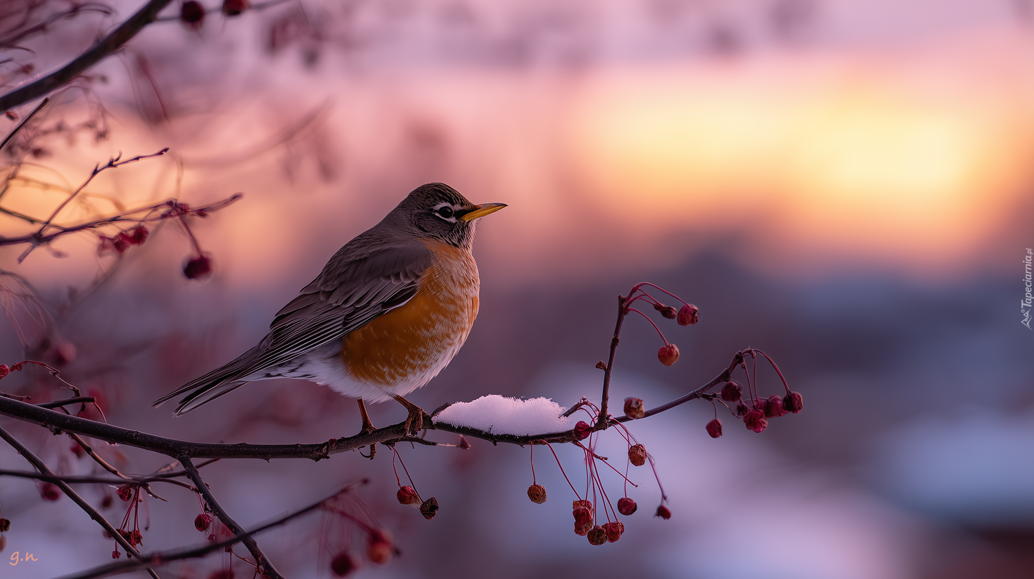 Ptak, Gałązka, Suche, Owoce, Grafika AI