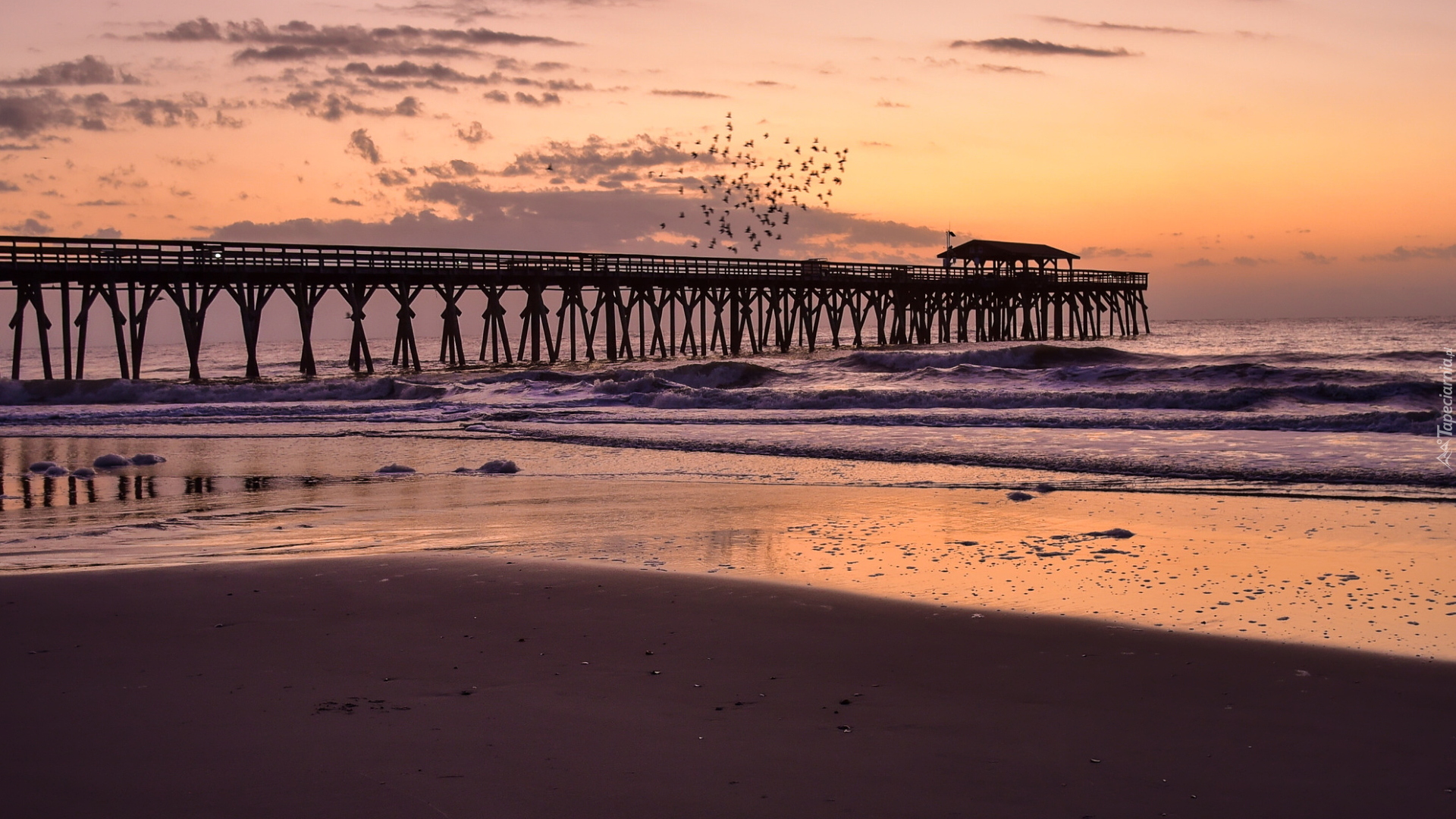 Morze, Molo, Ptaki, Wschód słońca, Plaża, Myrtle Beach State Park, Karolina Południowa, Stany Zjednoczone