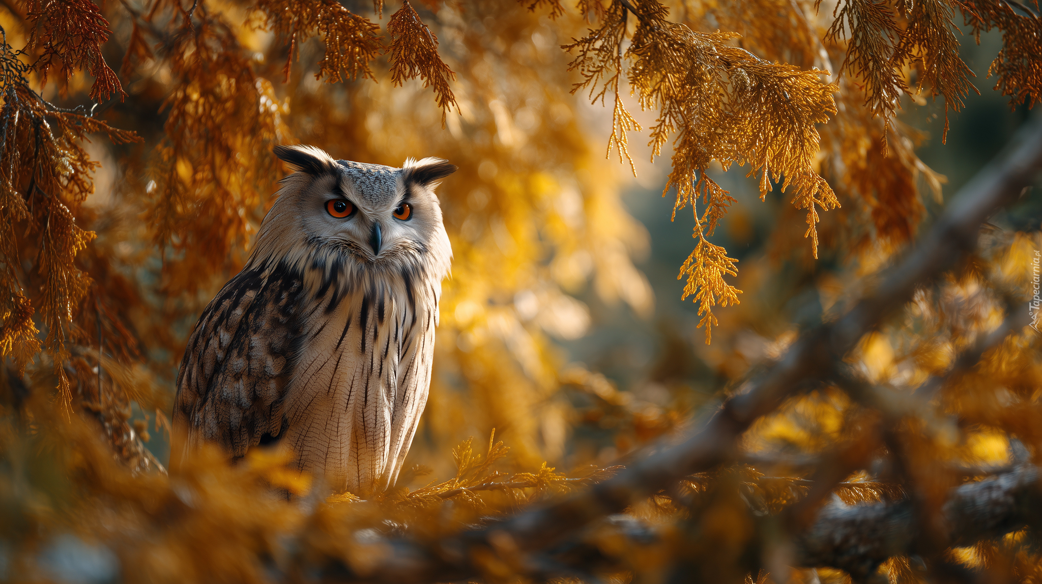 Sowa, Puchacz, Drzewo, Grafika AI