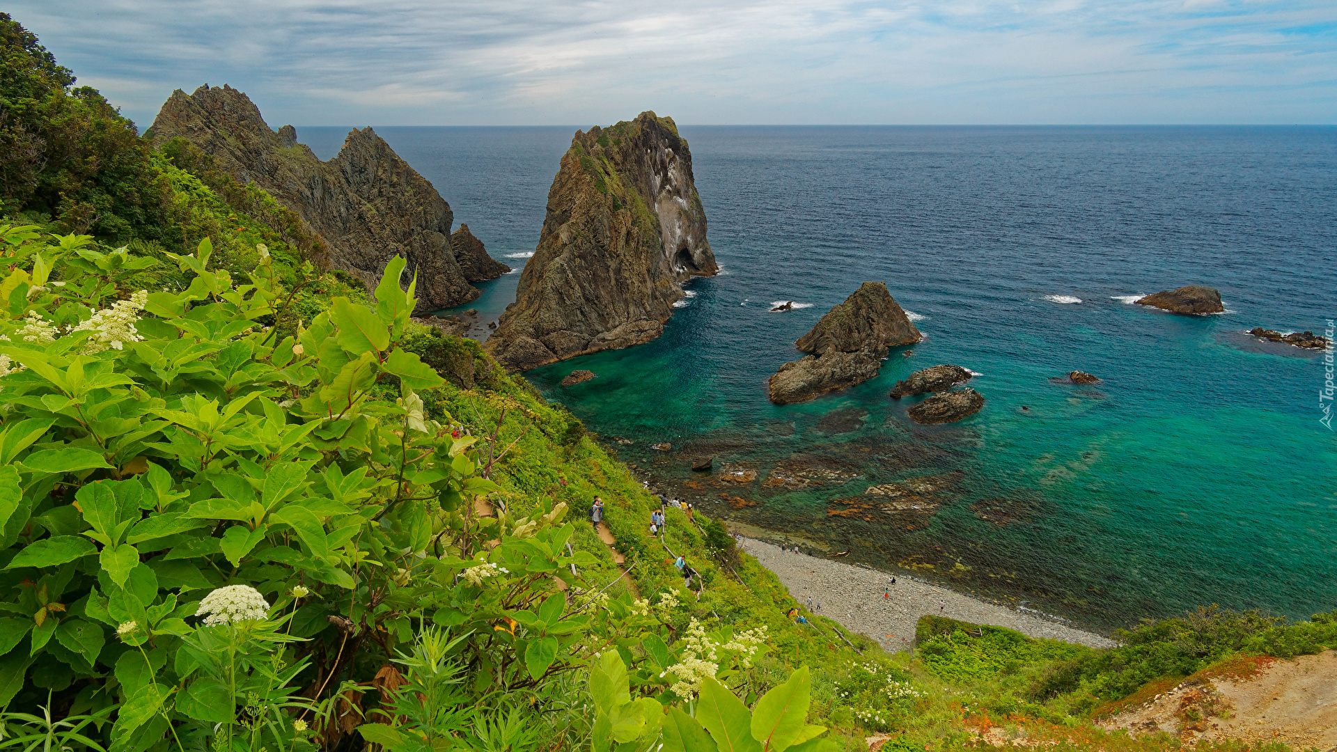 Morze, Skały, Roślinność, Punkt widokowy Shimamui Coast, Półwysep Shakotan, Hokkaido, Japonia