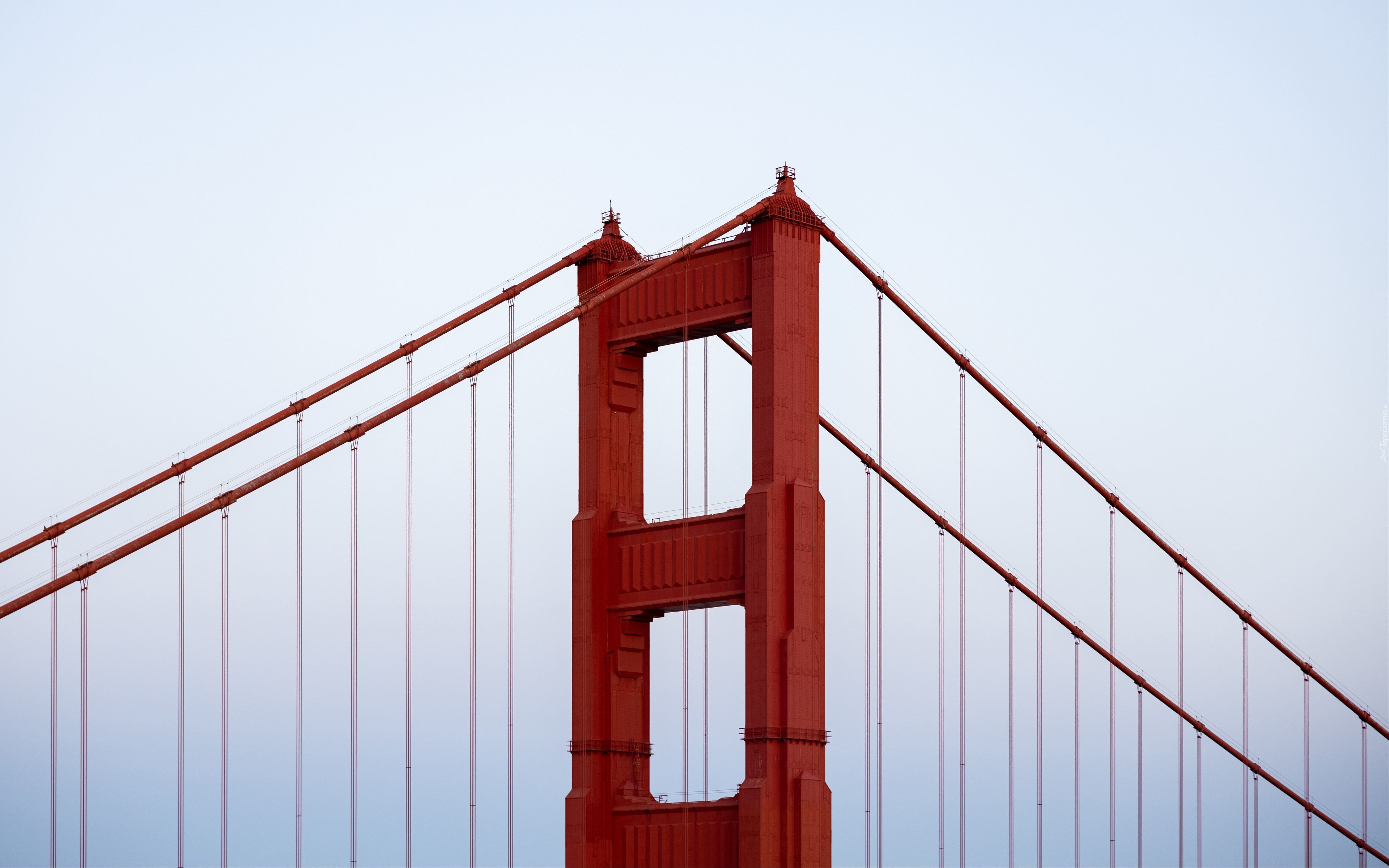 Most, Golden Gate Bridge, Pylon, Liny