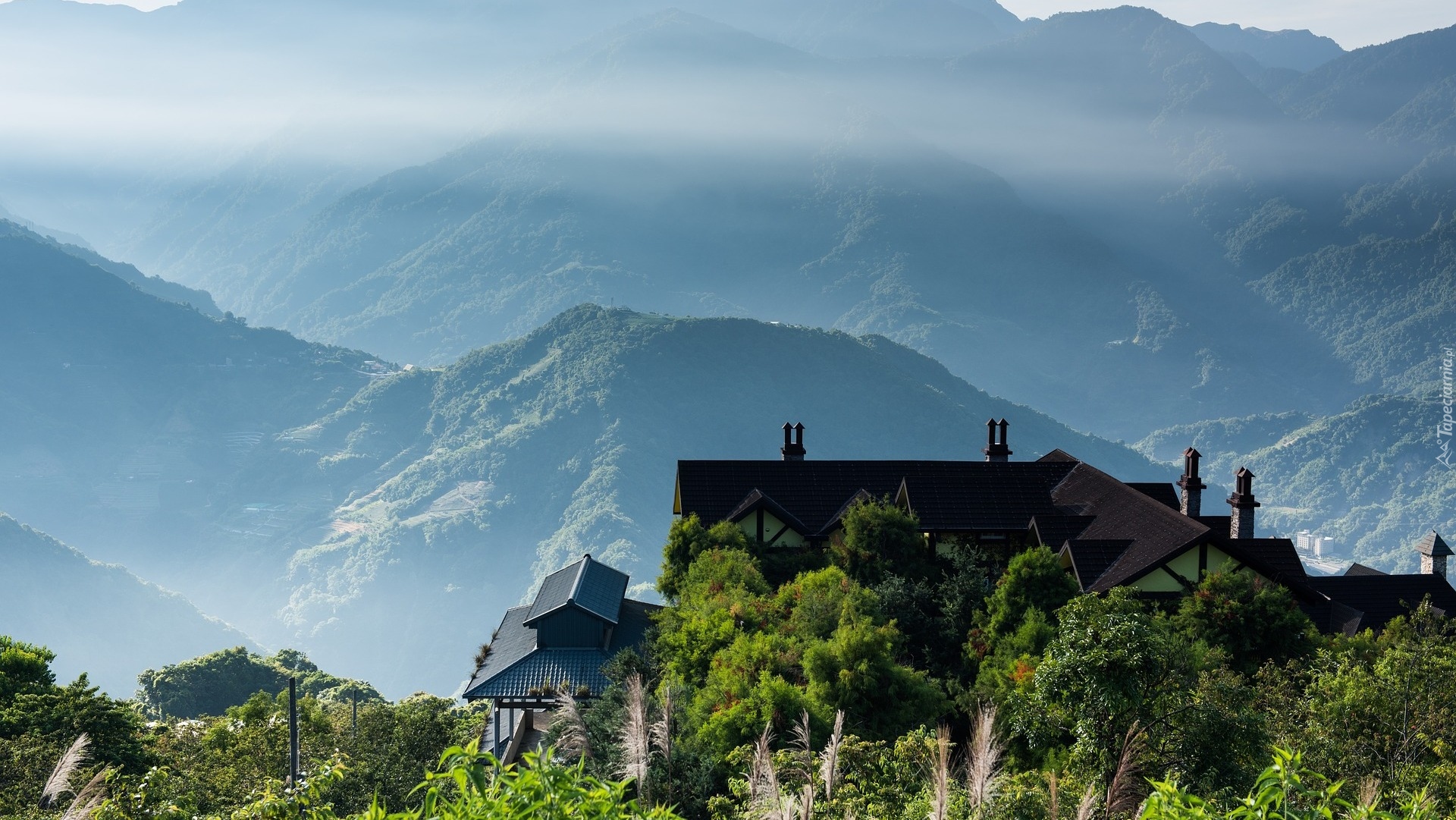 Tajwan, Hrabstwo Nantou, Qingjing Farm, Góry, Dom, Mgła, Drzewa