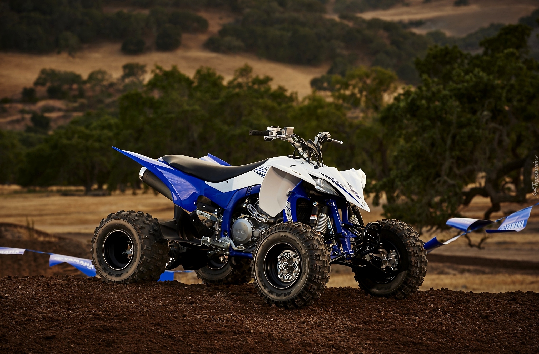 Quad, Yamaha YFZ 450