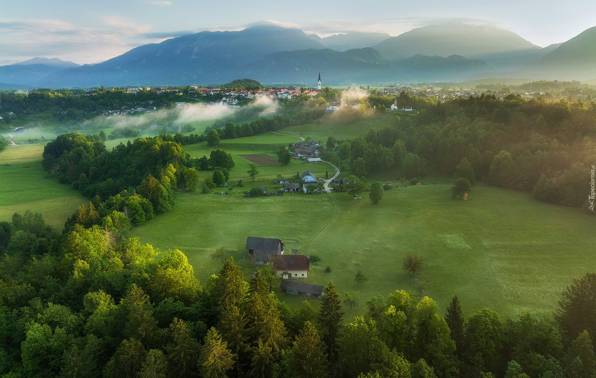 Z lotu ptaka, Góry, Domy, Mgła, Drzewa, Radovljica, Słowenia