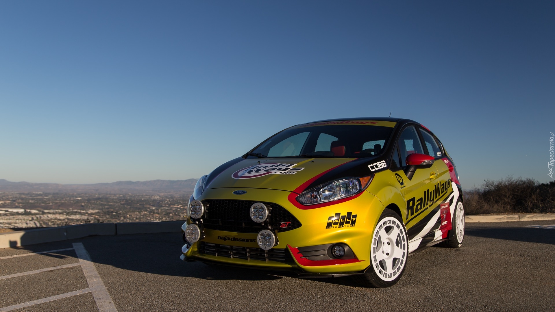 Rajdowy, Ford Fiesta ST, 2015