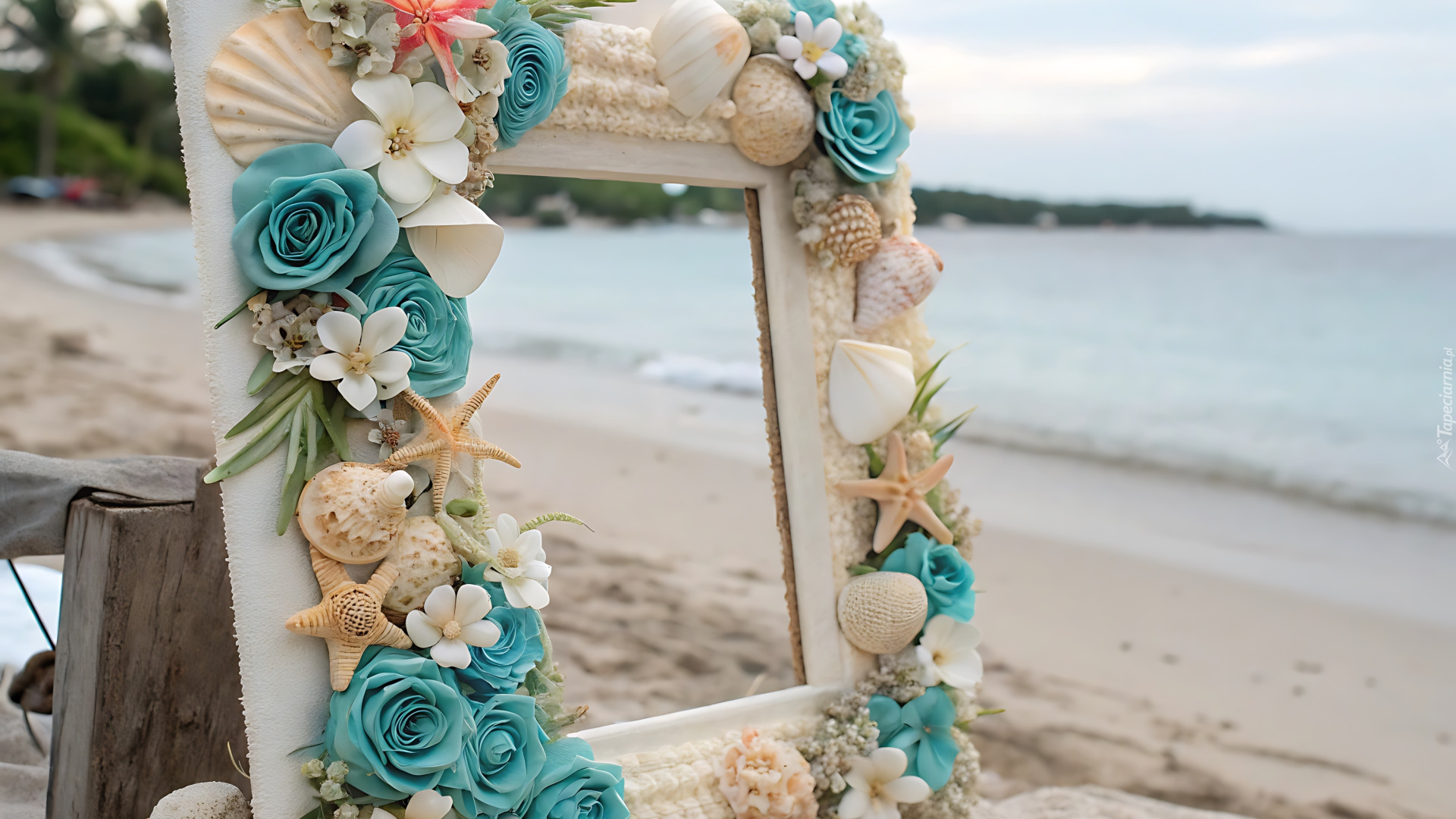Plaża, Morze, Piasek, Ramka, Muszle, Róże, Dekoracja
