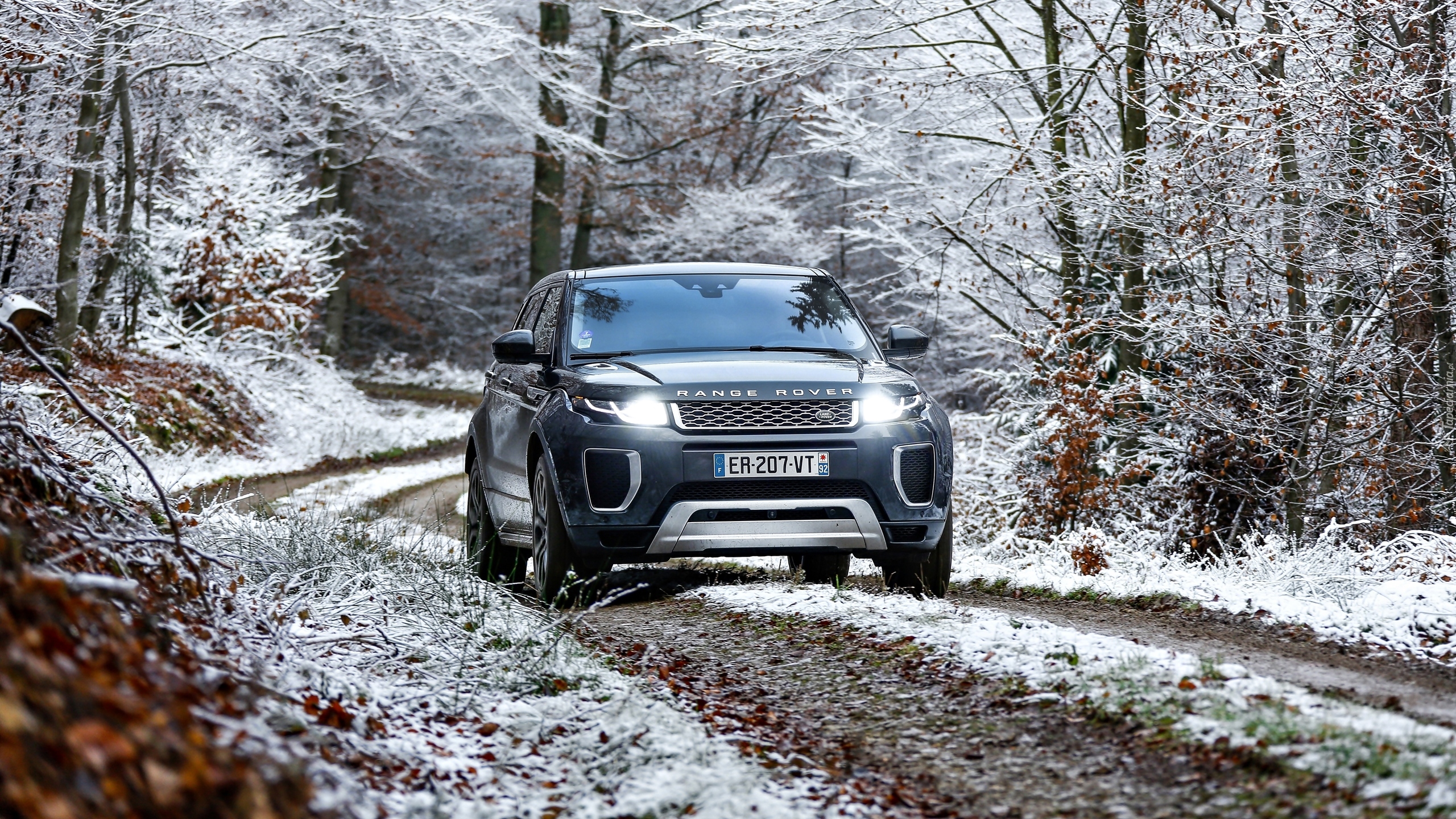 Land Rover, Range Rover Evoque Autobiography, 2017, Droga, Las, Zima