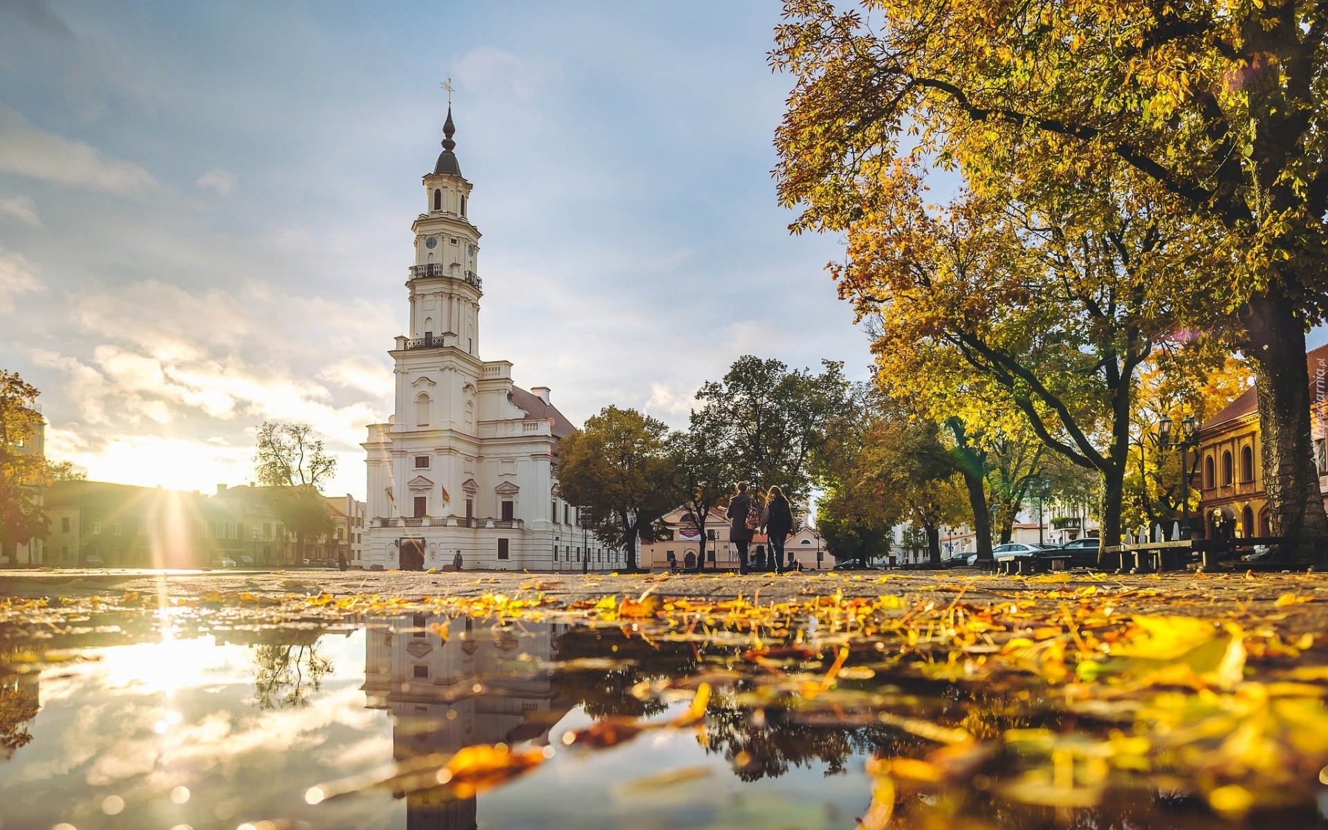 Litwa, Kowno, Plac, Ratusz, Muzeum ceramiki, Jesień, Promienie słońca, Drzewa, Liście, Kałuża