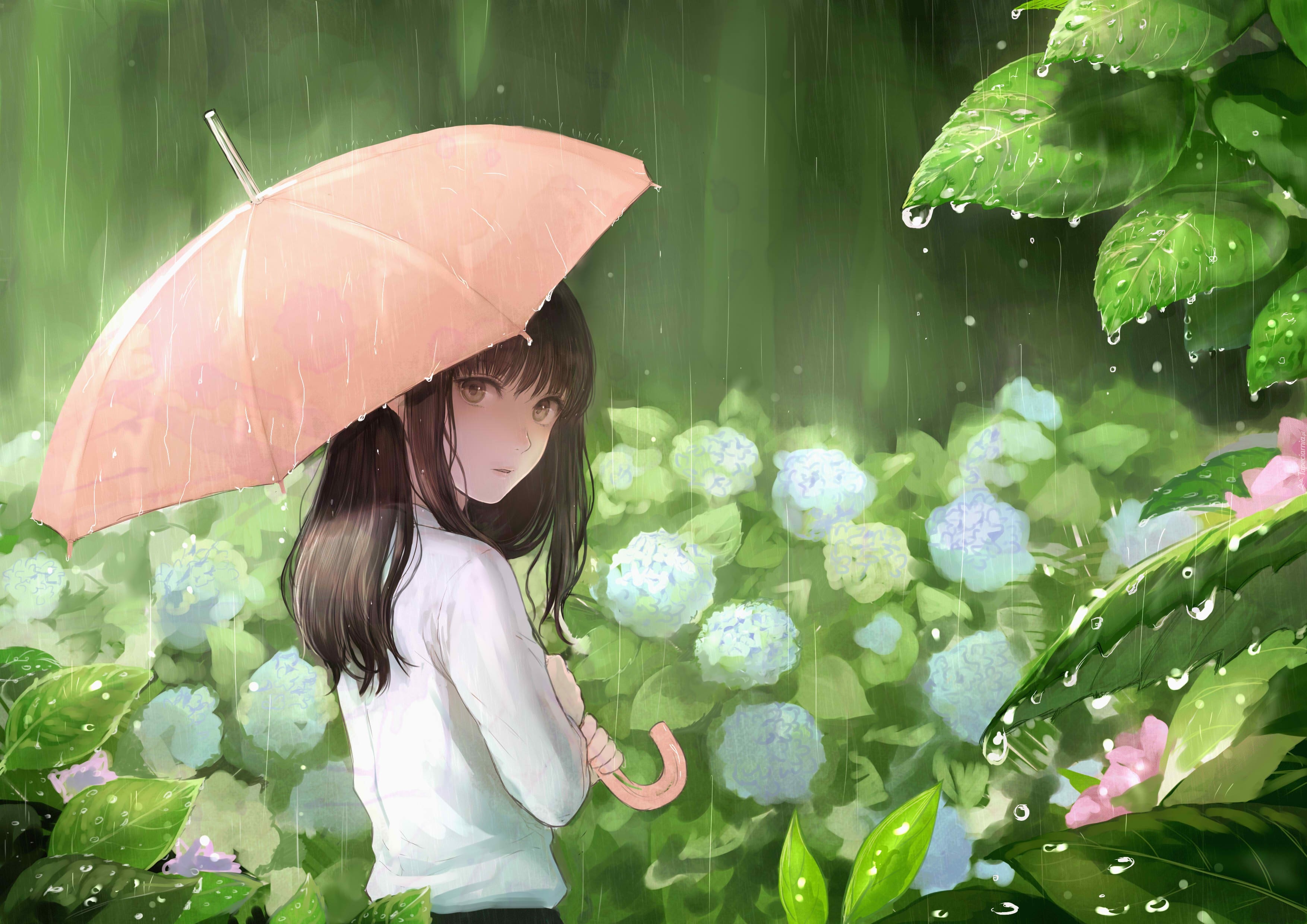 Sankarea, Rea Sanka, Dziewczyna, Deszcz, Parasolka, Manga Anime