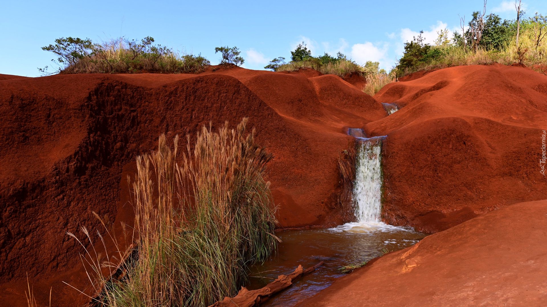 Wodospad, Red Dirt Waterfall, Czerwone, Skały bazaltowe, Kanion Waimea, Trawa, Rzeka, Wyspa Kauai, Hawaje, Stany Zjednoczone