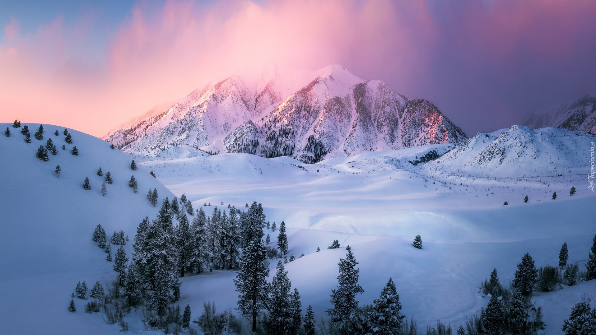 Stany Zjednoczone, Stan Kalifornia, Region Eastern Sierra, Zima, Wschód słońca, Góry, Ośnieżone, Drzewa