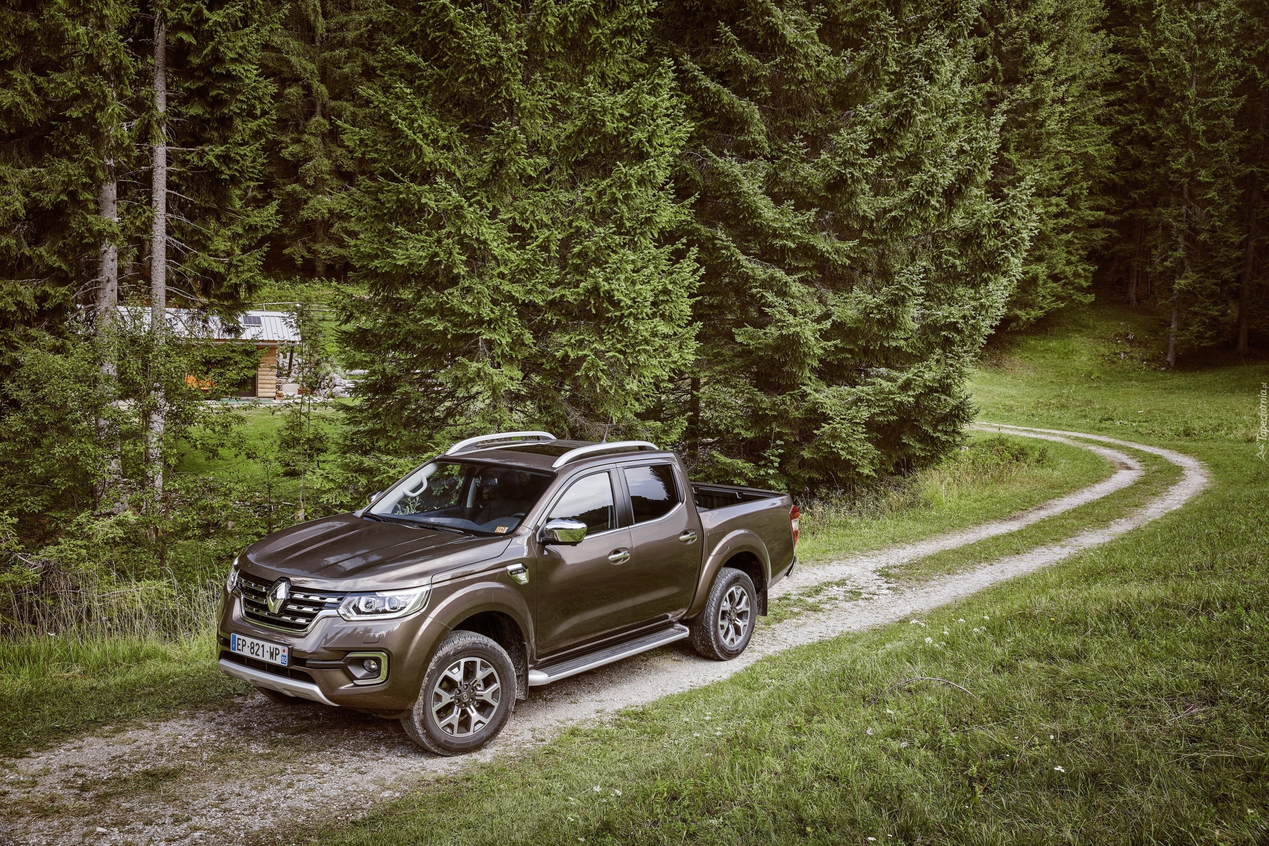 Renault Alaskan, 2017