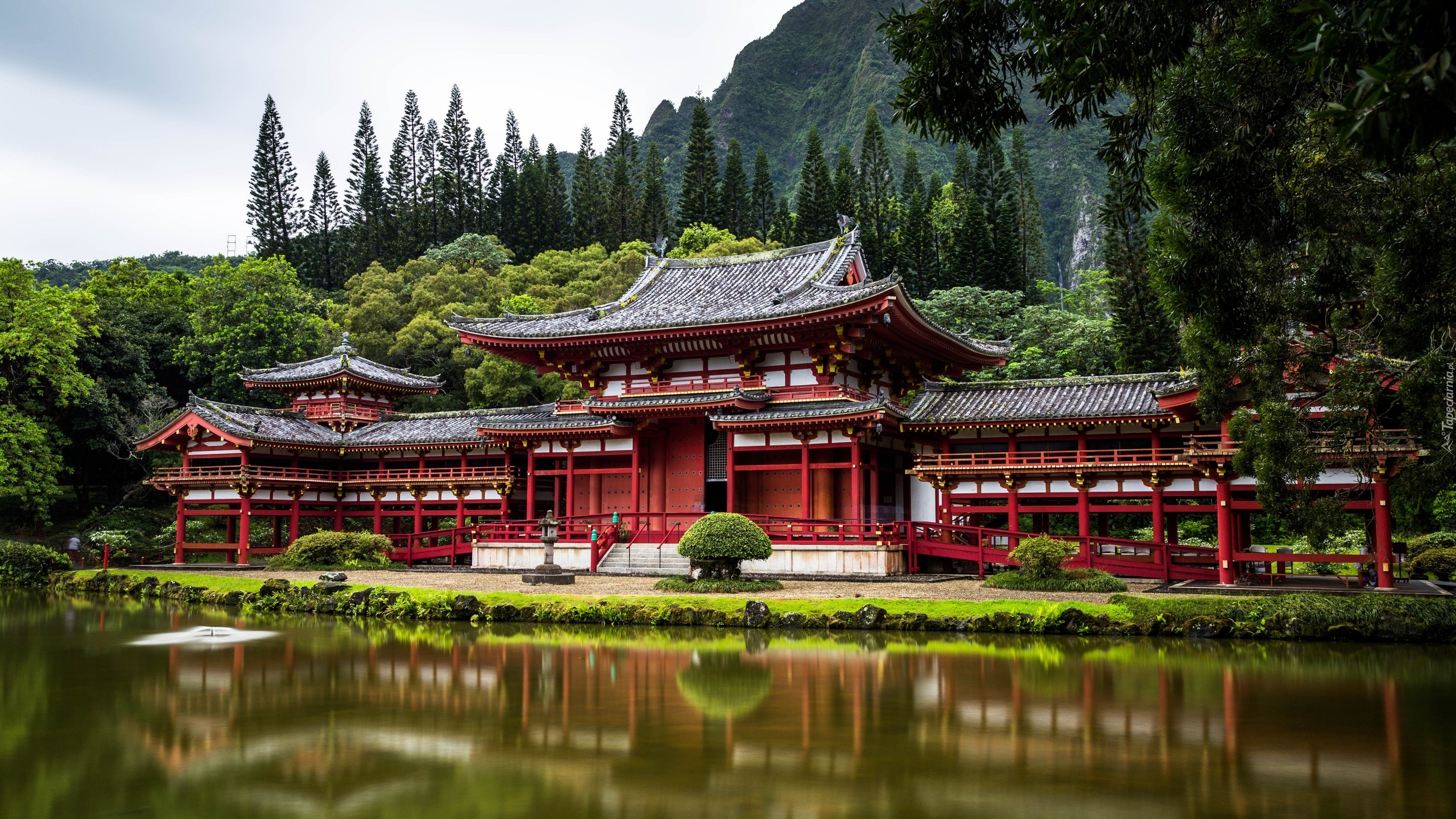 Stany Zjednoczone, Hawaje, Wyspa Oahu, Budowla, Świątynia, Byodo-In, Replika, Drzewa, Góry