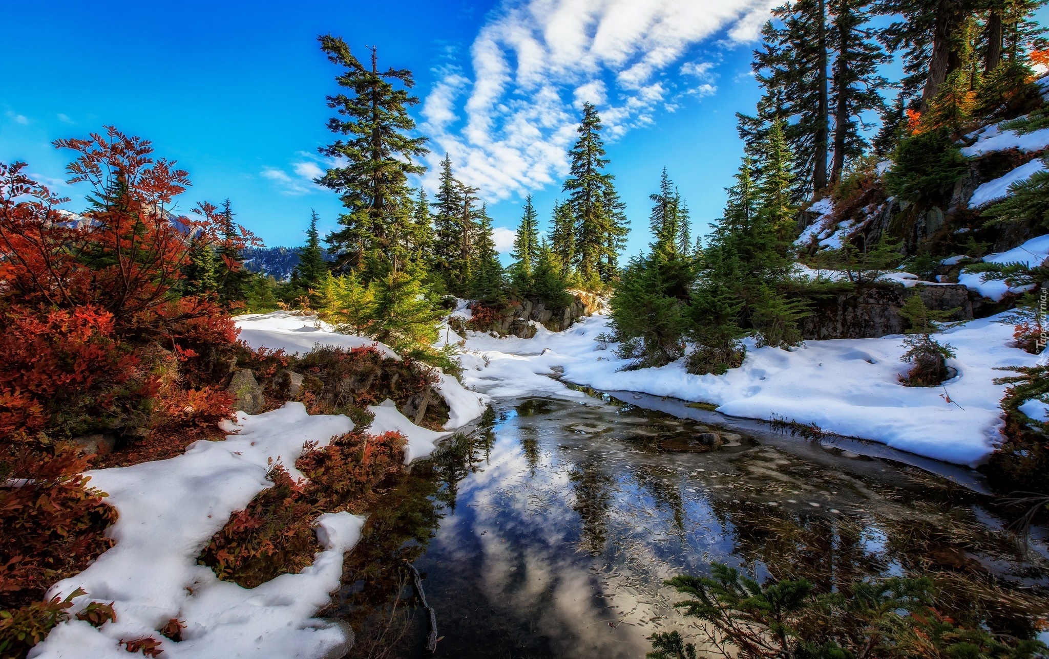 Stany Zjednoczone, Stan Waszyngton, Rezerwat przyrody Alpine Lakes Wilderness, Jezioro, Zima, Świerki