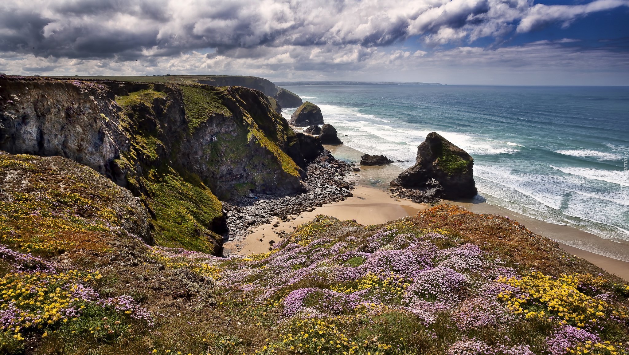 Anglia, Kornwalia, Rezerwat Przyrody Carnewas and Bedruthan Steps, Wybrzeże, Skały, Kwiaty, Morze Celtyckie
