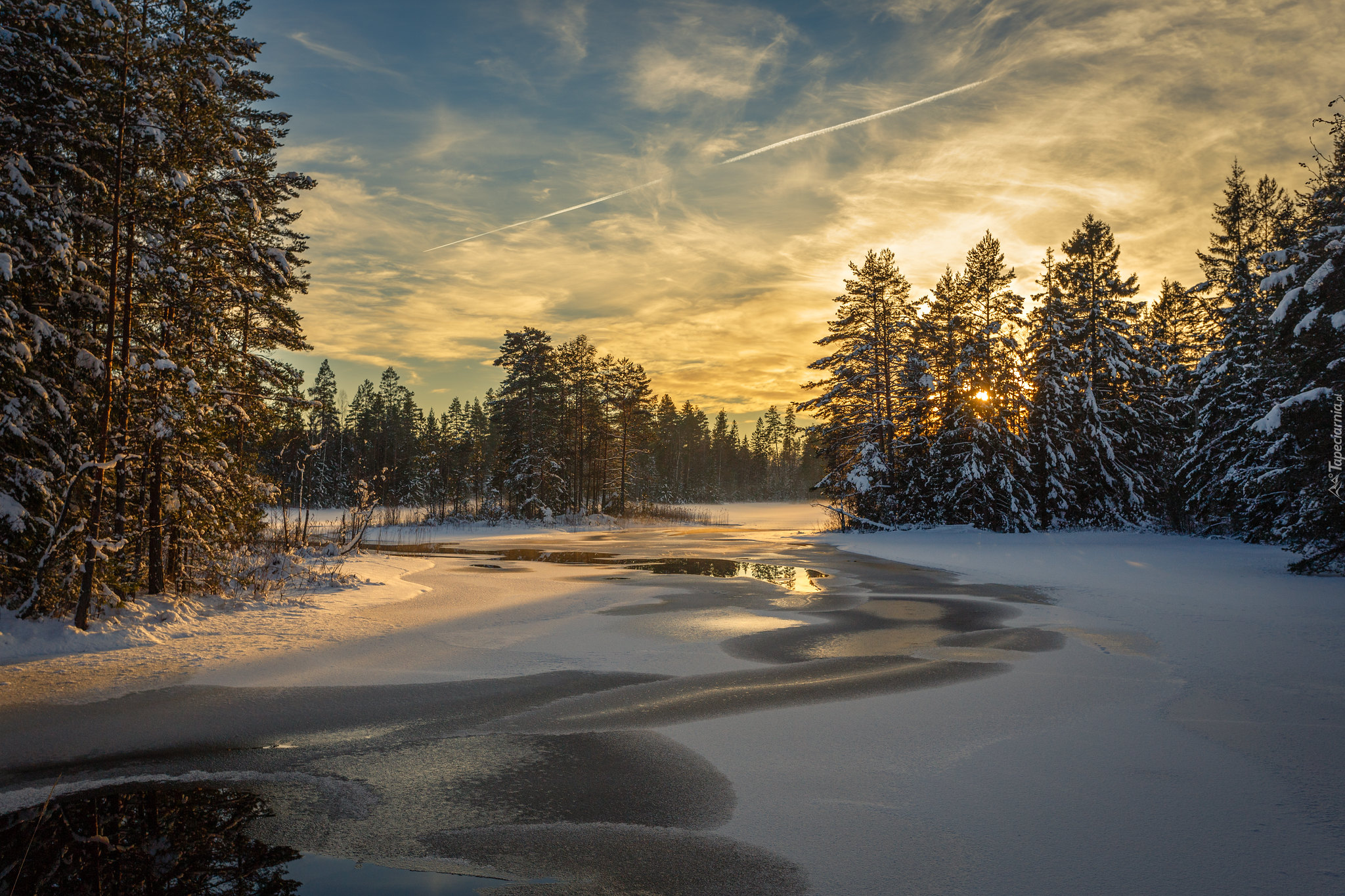 Zima, Rzeka, Las, Drzewa, Śnieg, Rezerwat, Przyrody, Glaskogen, Arvika, Szwecja