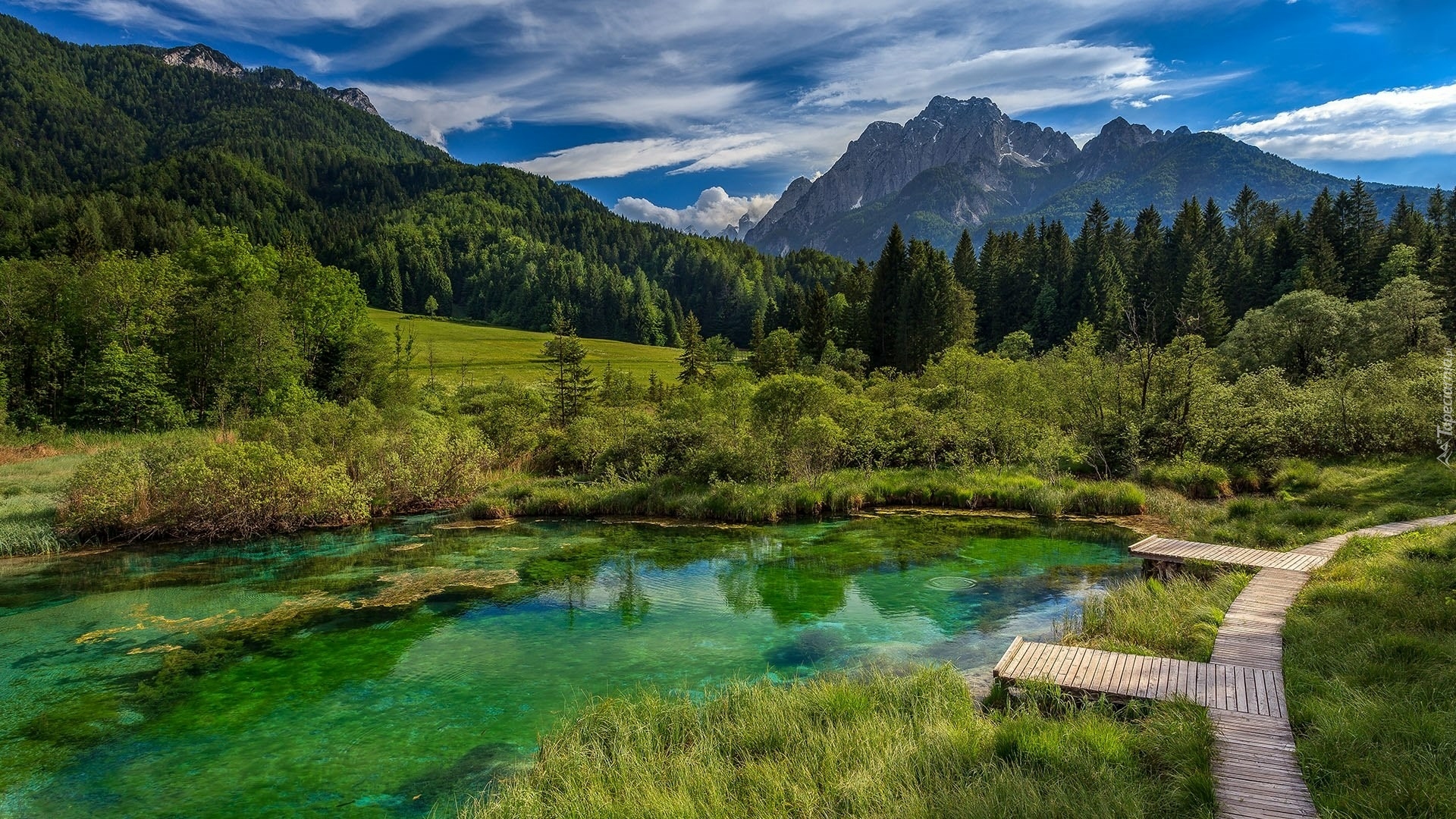 Góry, Drzewa, Las, Jezioro, Rezerwat przyrody Zelenci, Trawa, Pomosty, Obłoki, Kranjska Gora, Słowenia