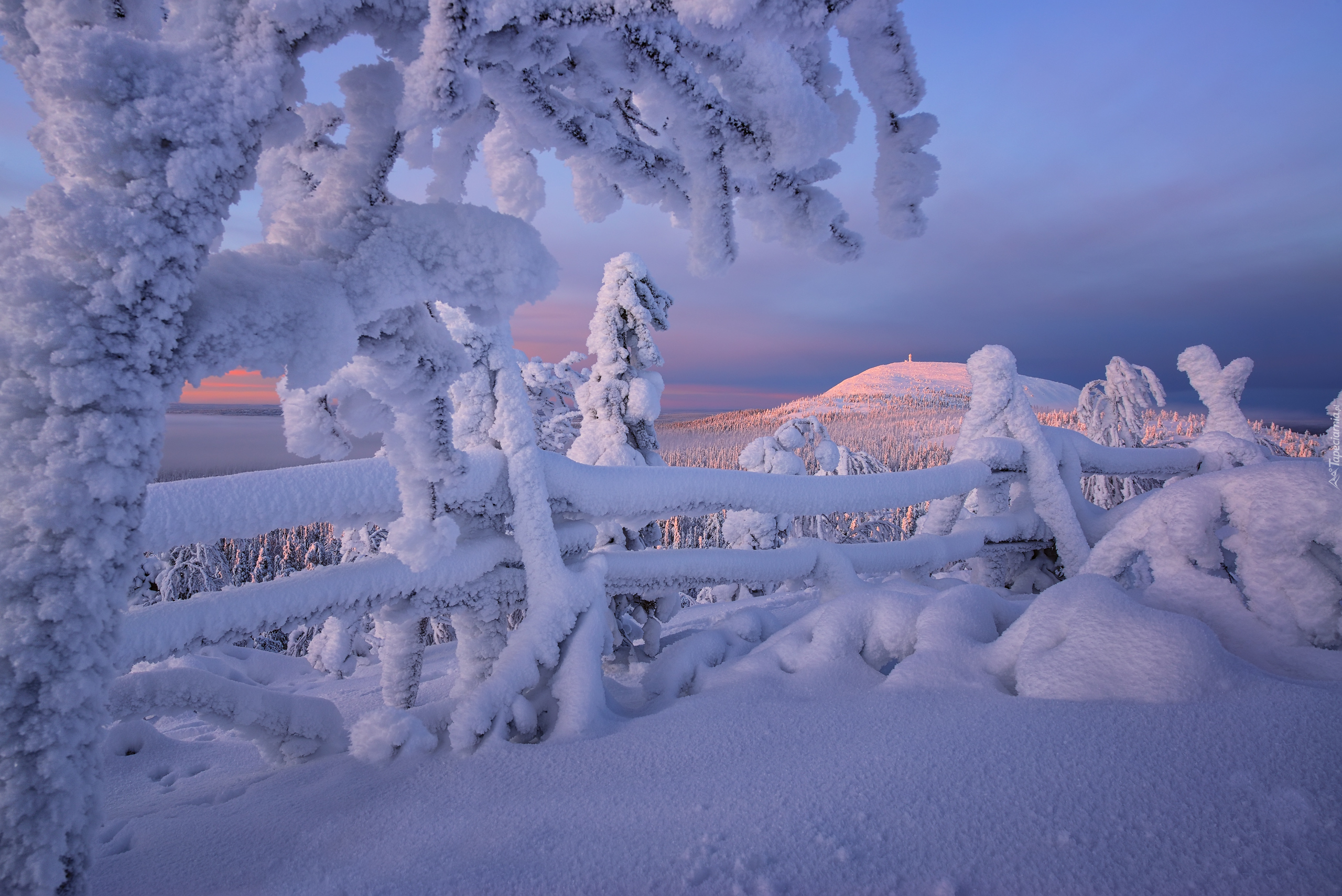 Zima, Góry, Drzewa, Ogrodzenie, Rezerwat Valtavaara, Laponia, Finlandia