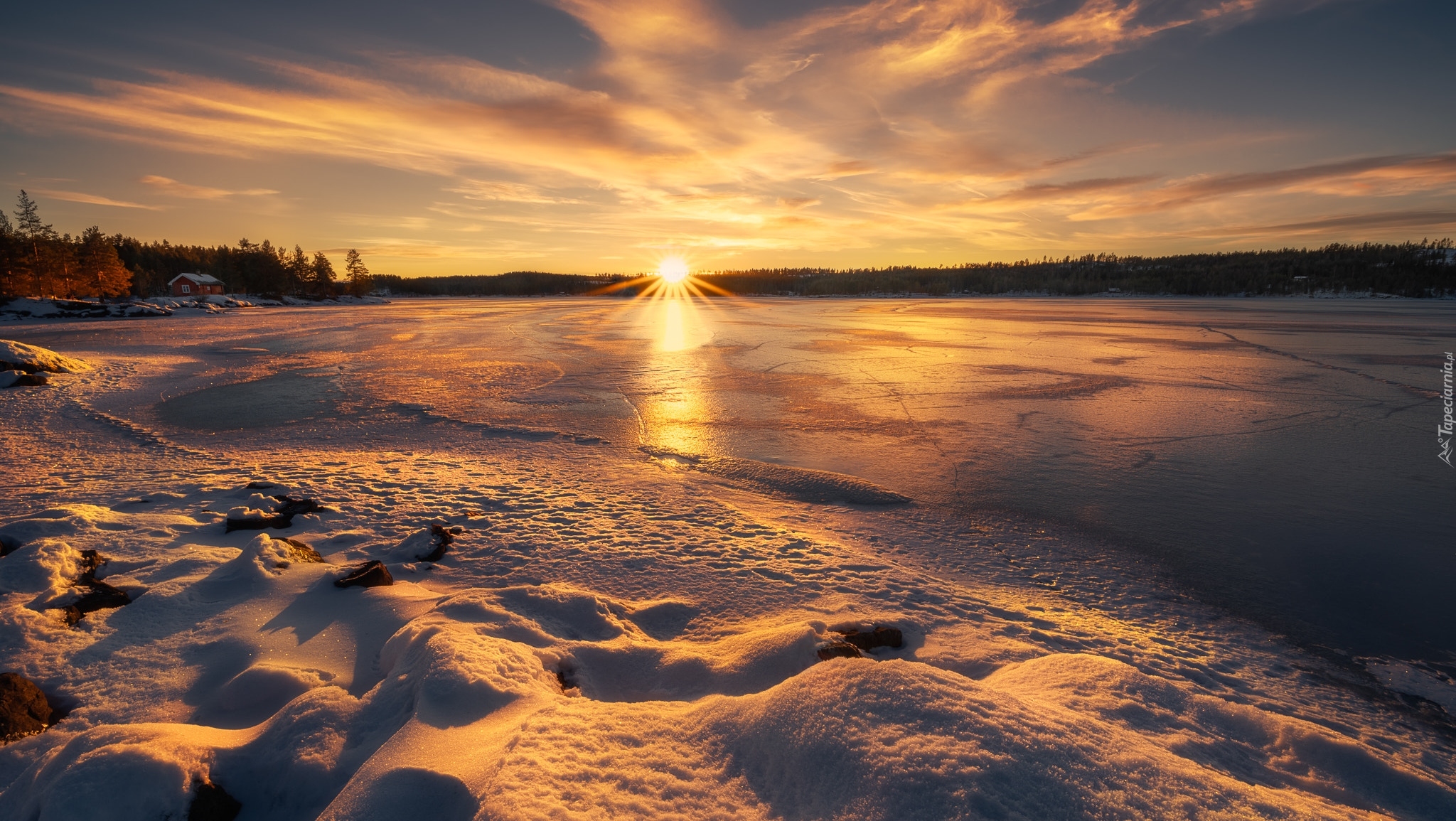 Norwegia, Ringerike, Jezioro, Las, Drzewa, Dom, Zima, Wschód słońca