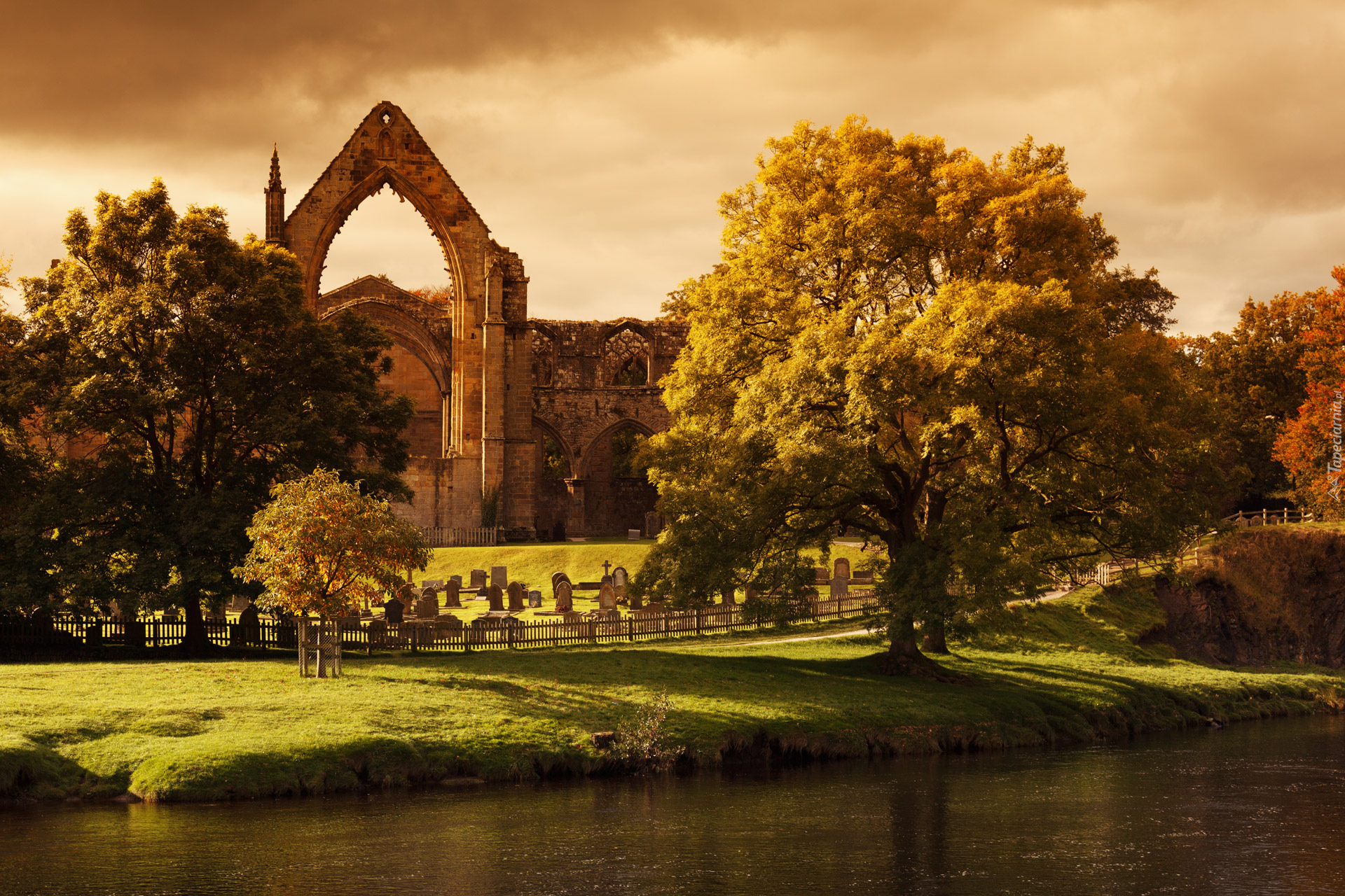 Ruiny, Opactwo Bolton Priory, Rzeka, Drzewa, Ogrodzenie, Cmentarz, Bolton Abbey, Hrabstwo North Yorkshire, Anglia