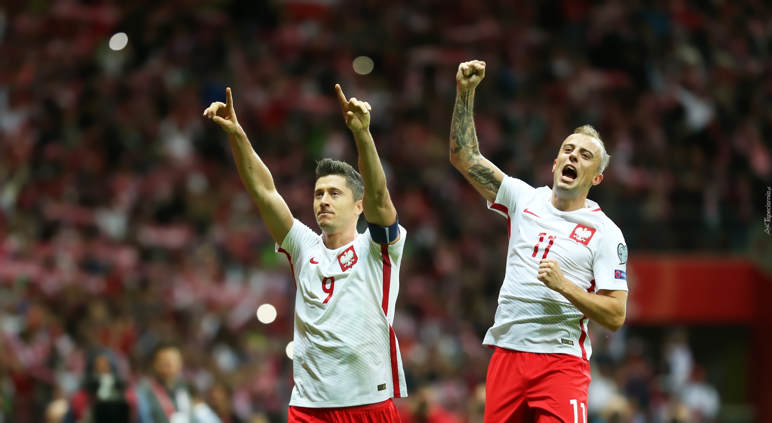 Mistrzostwa Świata, Piłka nożna, Rosja 2018, Eliminacje, Robert Lewandowski, Kamil Grosicki