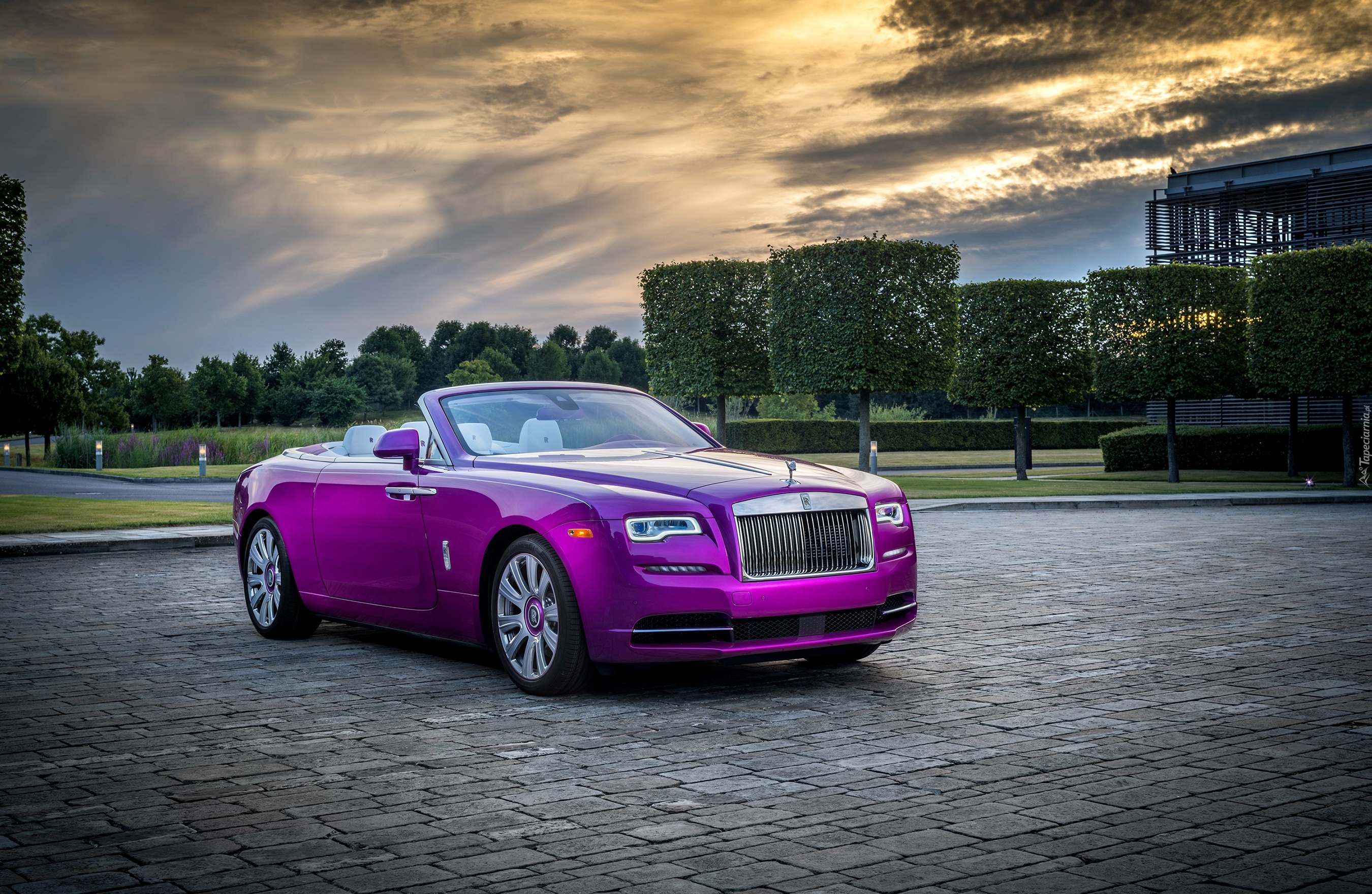 Rolls-Royce Dawn in Fuxia, 2017