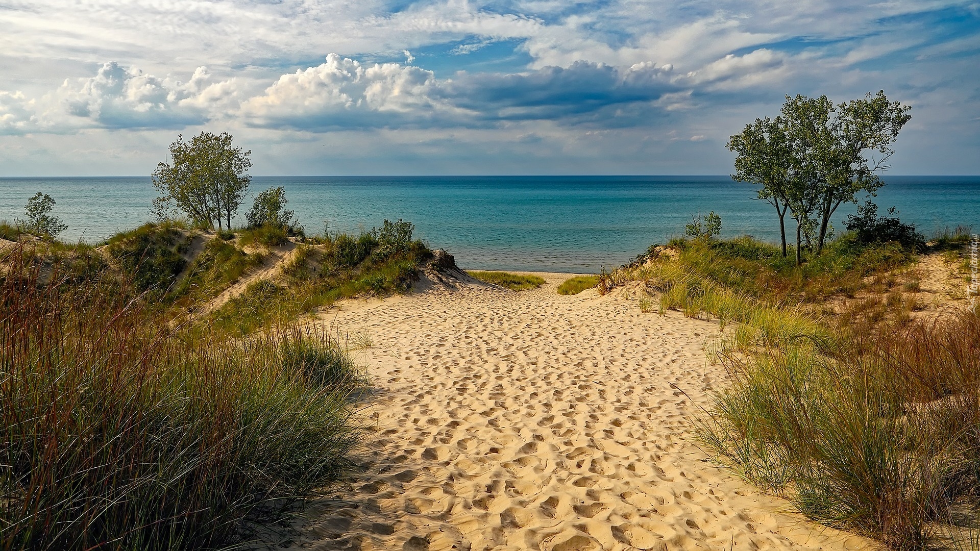 Jezioro Michigan, Plaża, Piasek, Trawa, Drzewa, Stany Zjednoczone