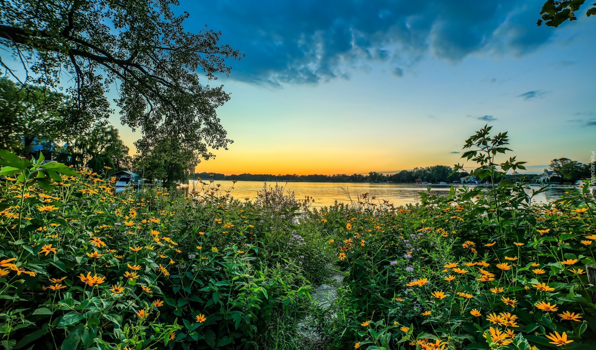 Stany Zjednoczone, Stan Minnesota, Miasto Minnetonka, Park Grays Bay Dam, Zatoka Grays Bay, Jezioro, Zachód Słońca