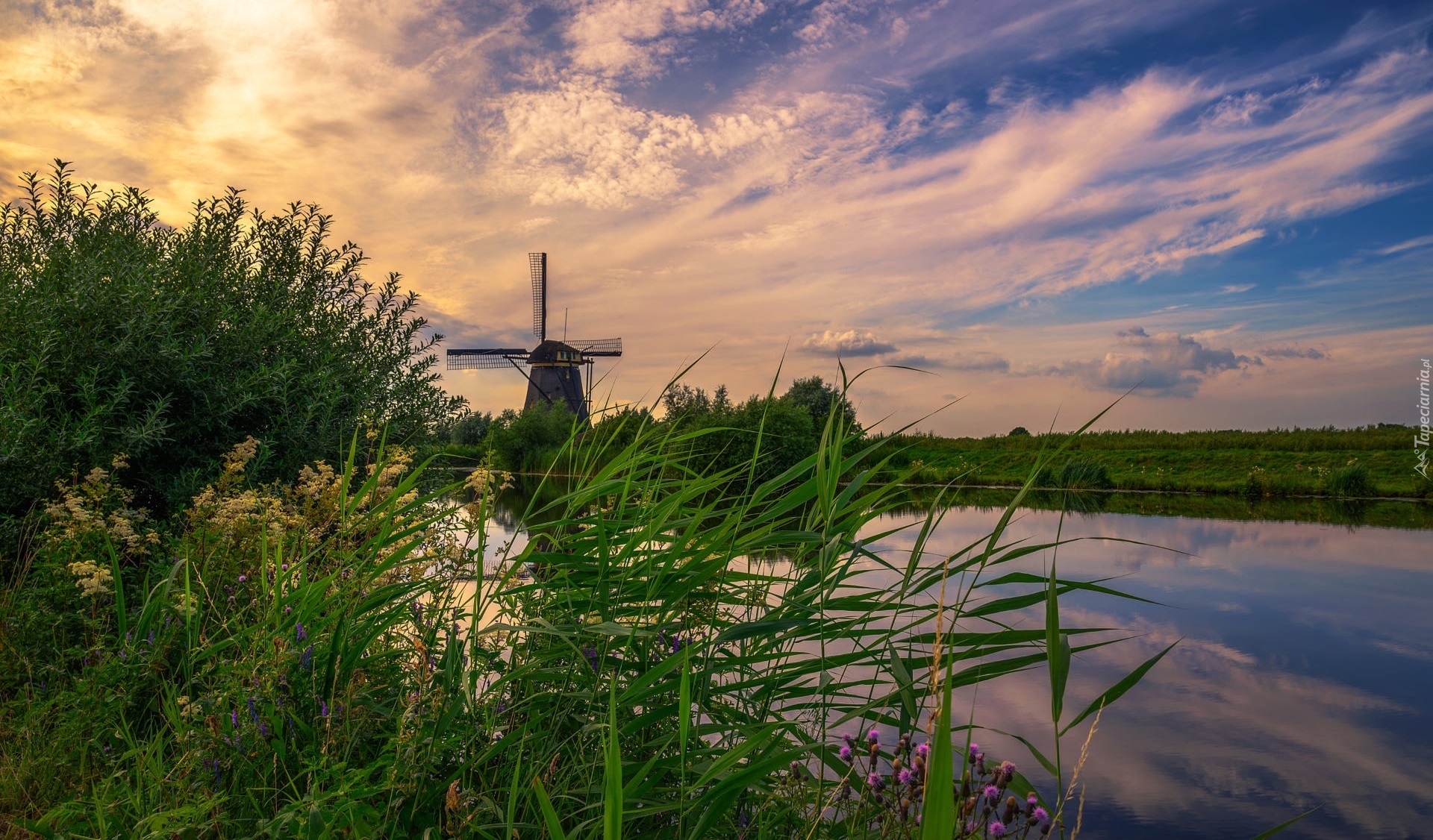 Wiatrak, Rzeka, Wieś Kinderdijk, Drzewa, Roślinność, Zachód słońca, Chmury, Holandia