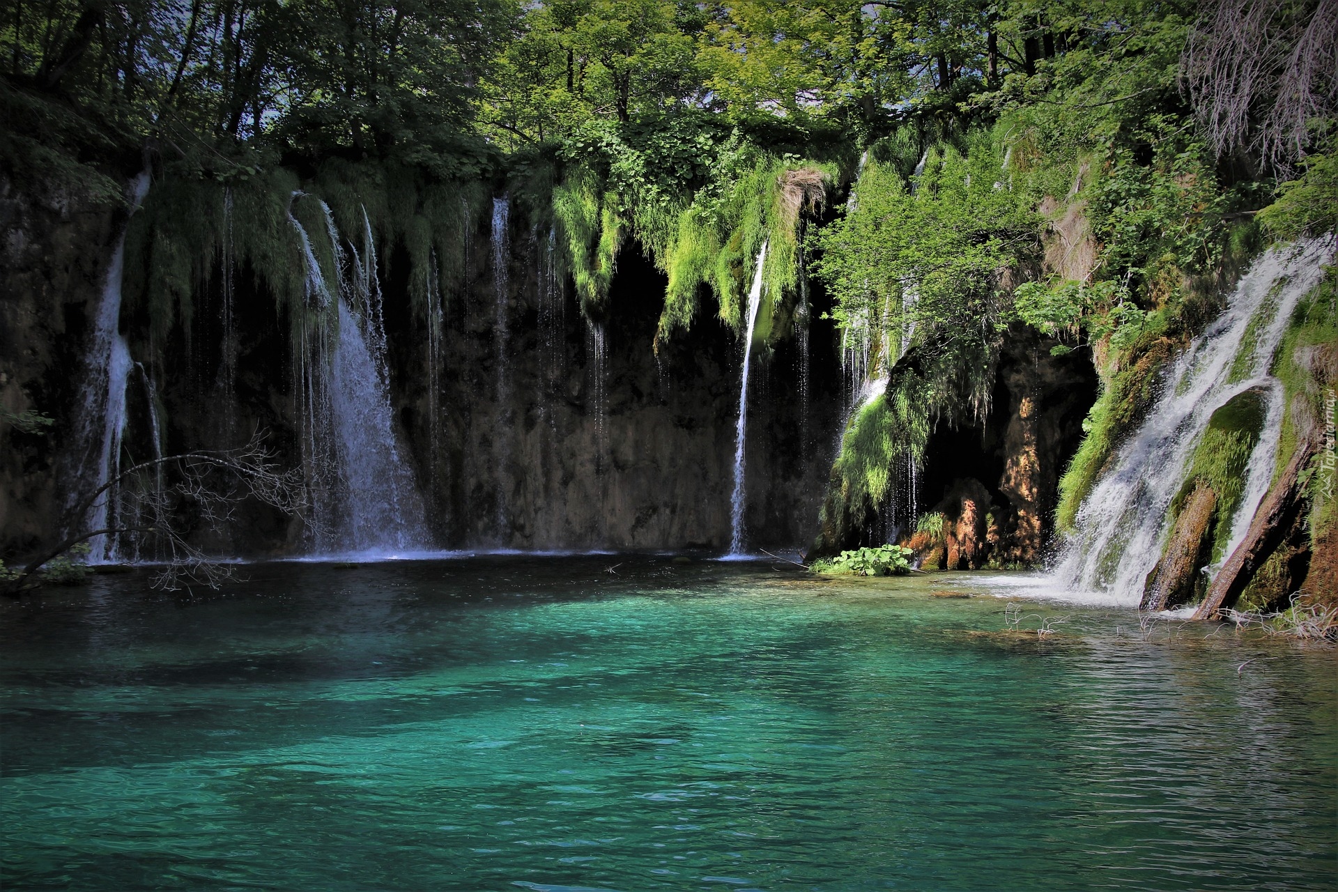 Chorwacja, Park Narodowy Jezior Plitwickich, Plitvice, Jezioro, Rośliny, Wodospad