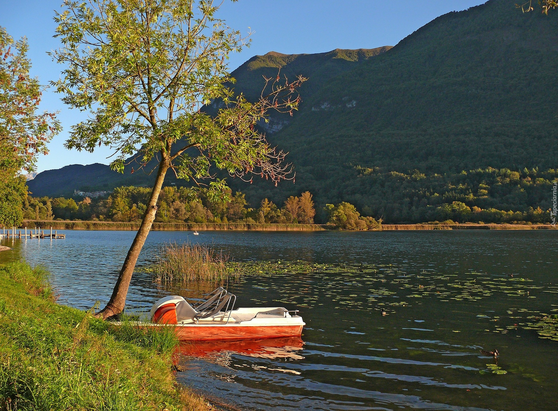 Jezioro, Rower wodny, Drzewo, Góra