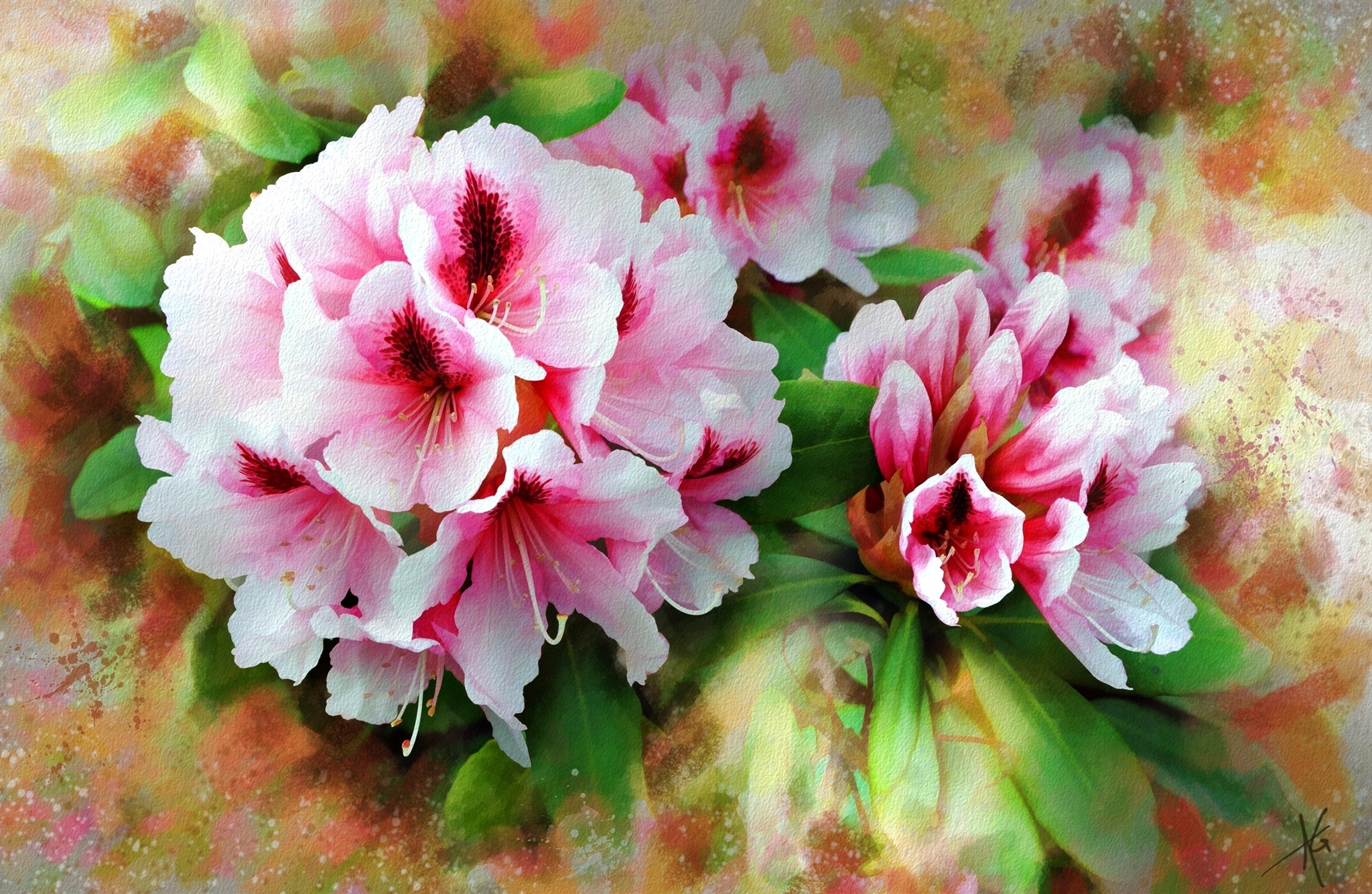 Rododendron, Różanecznik, Kwiaty, Akwarela, Obraz, Alberto Guillen