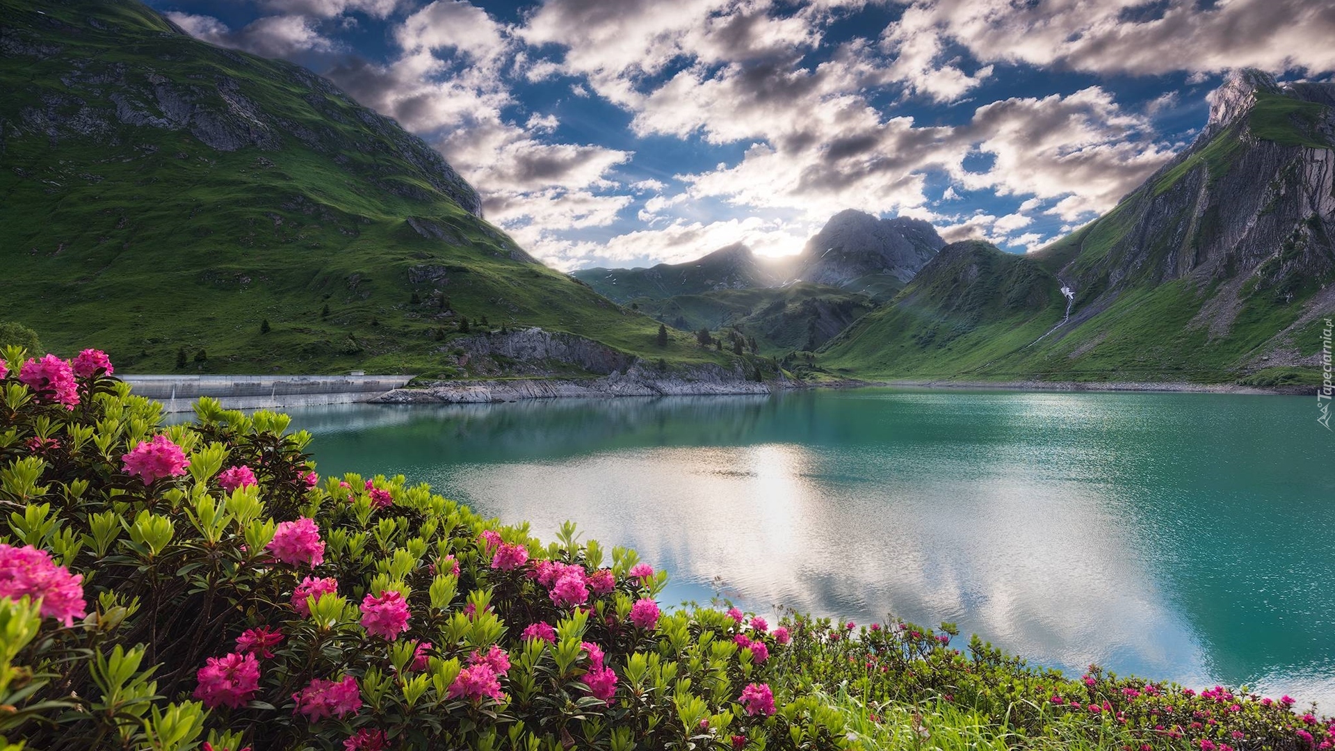 Góry, Jezioro, Chmury, Kwiaty, Różanecznik