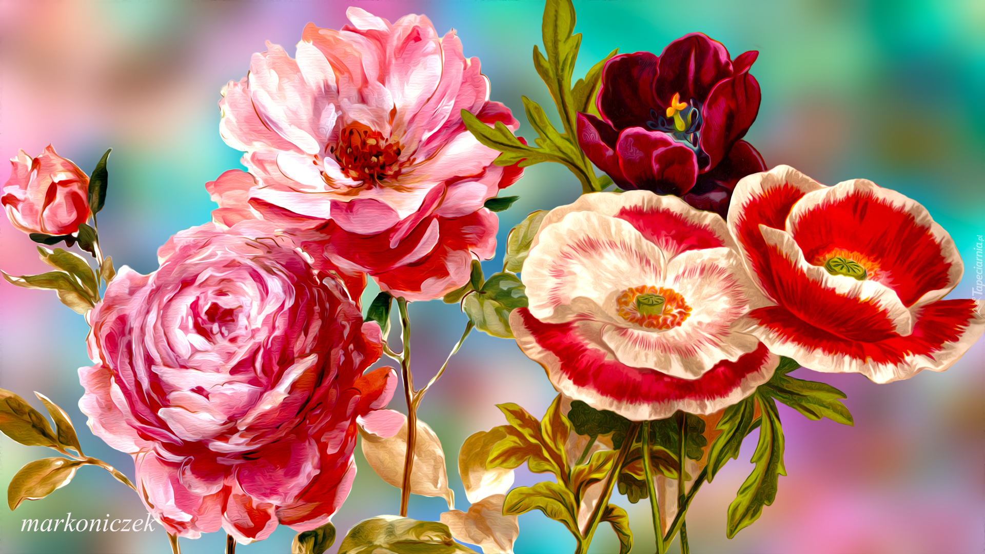 Kwiaty, Róże, Maki, Tulipan, Grafika