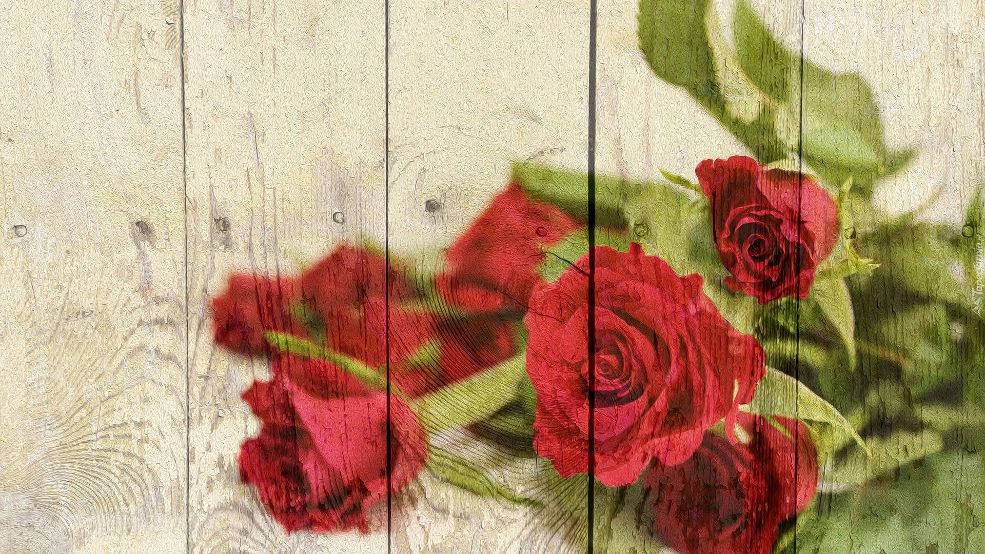 Grafika, Czerwone, Róże, Deski